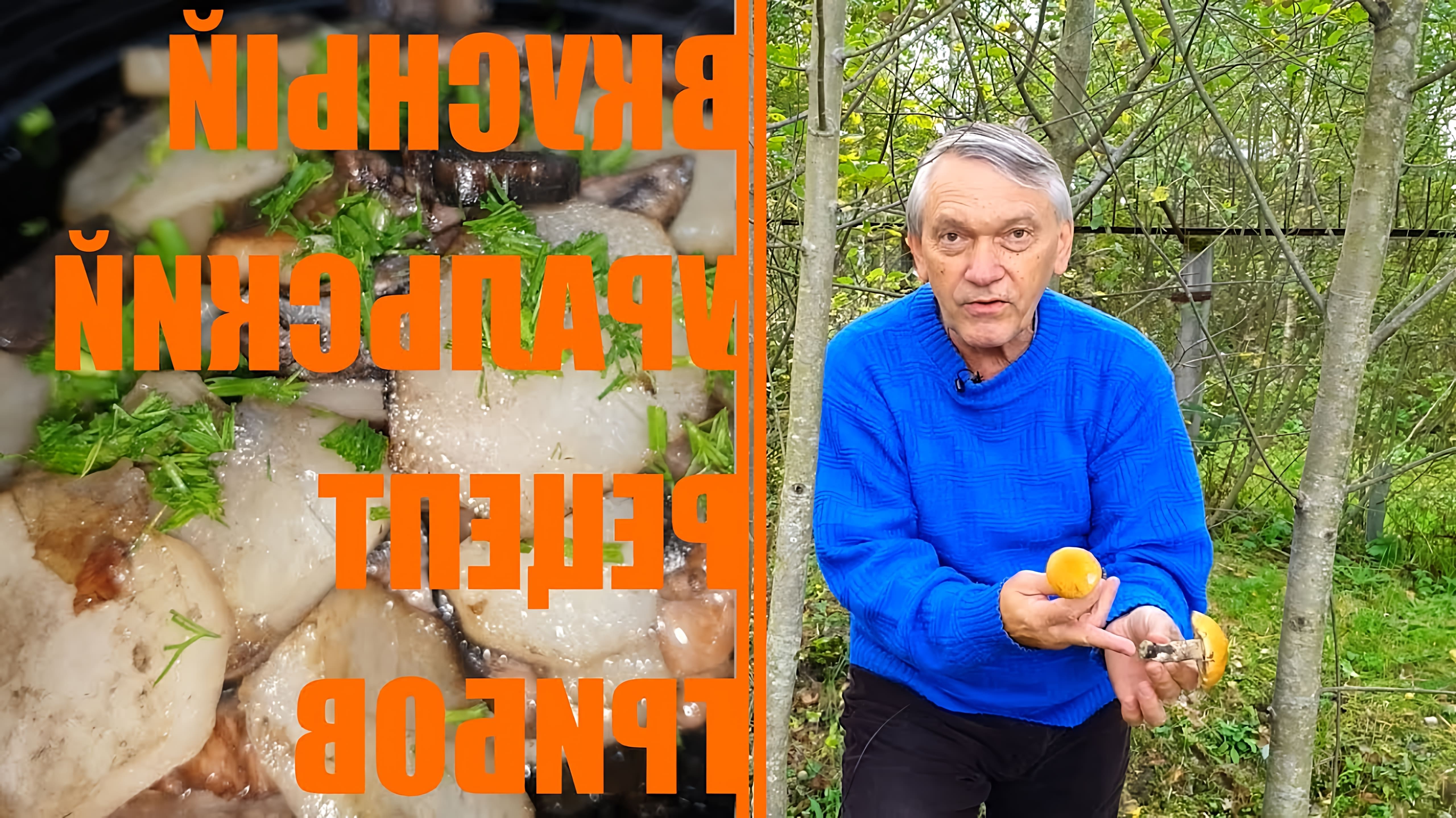 В этом видео рассказывается о подосиновиках, которые являются одними из первых грибов, появляющихся весной в лесах
