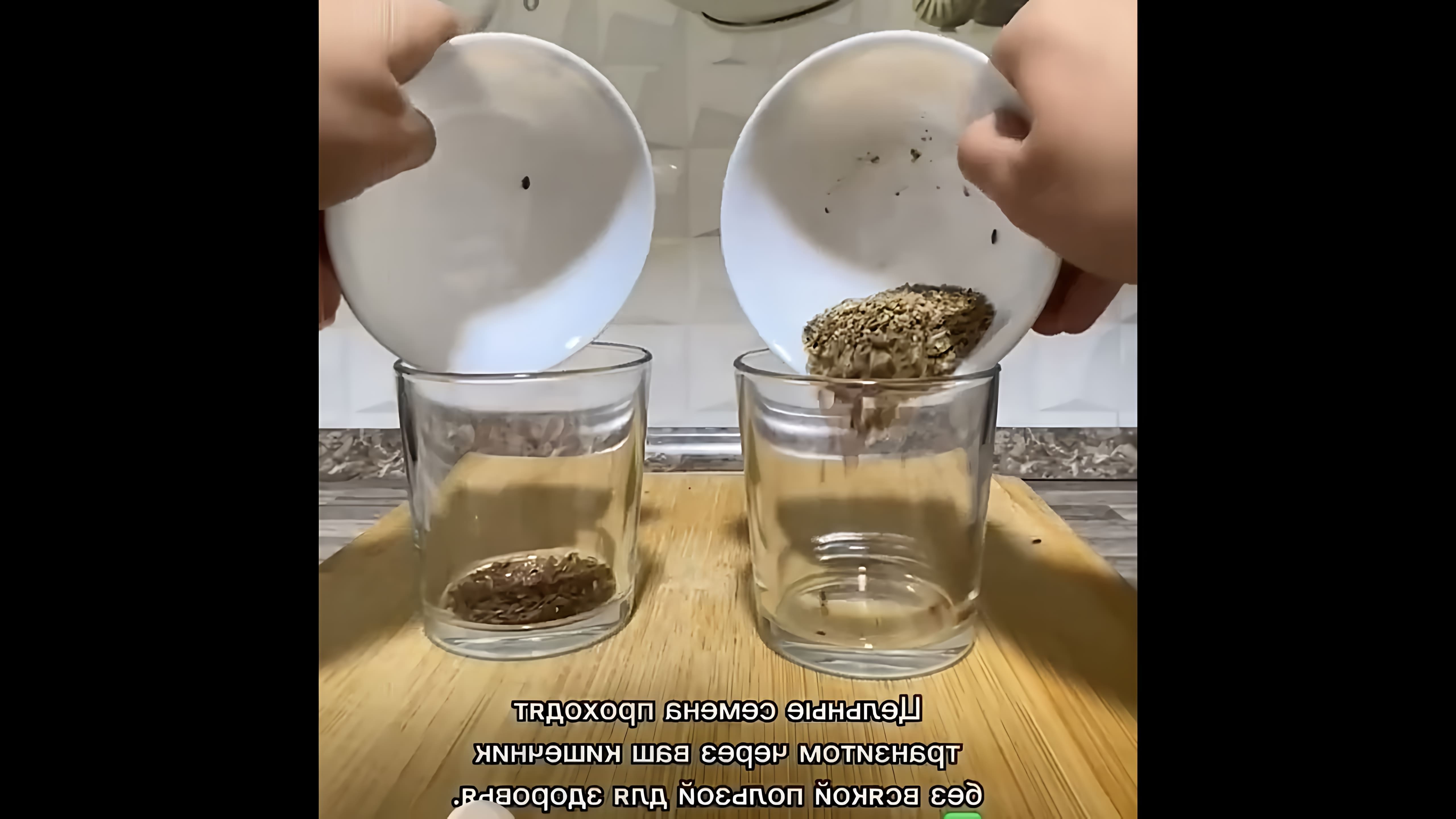 В этом видео-ролике рассказывается о том, как правильно принимать семя льна