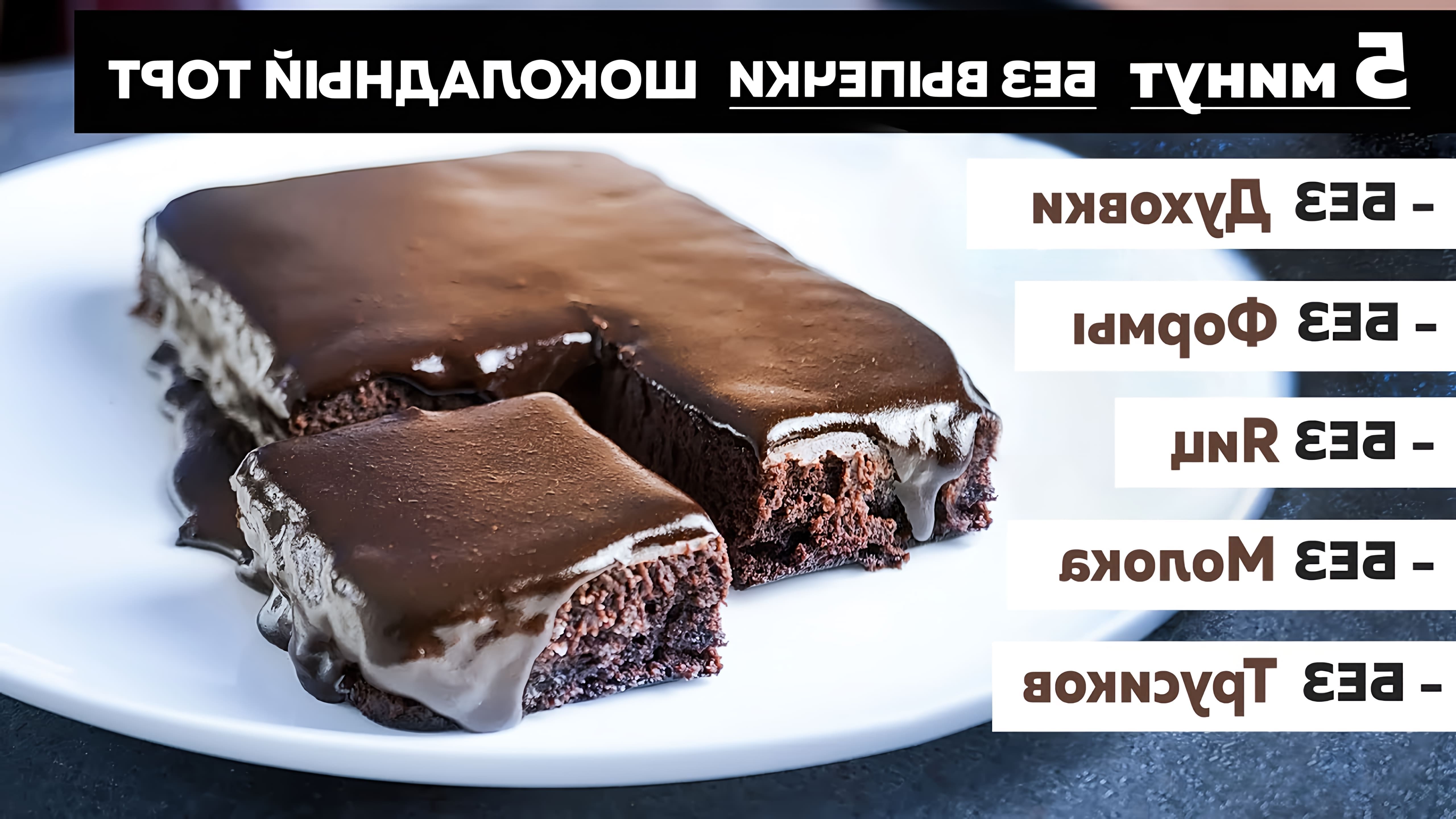 В этом видео демонстрируется рецепт шоколадного торта без выпечки, который можно приготовить всего за 5 минут