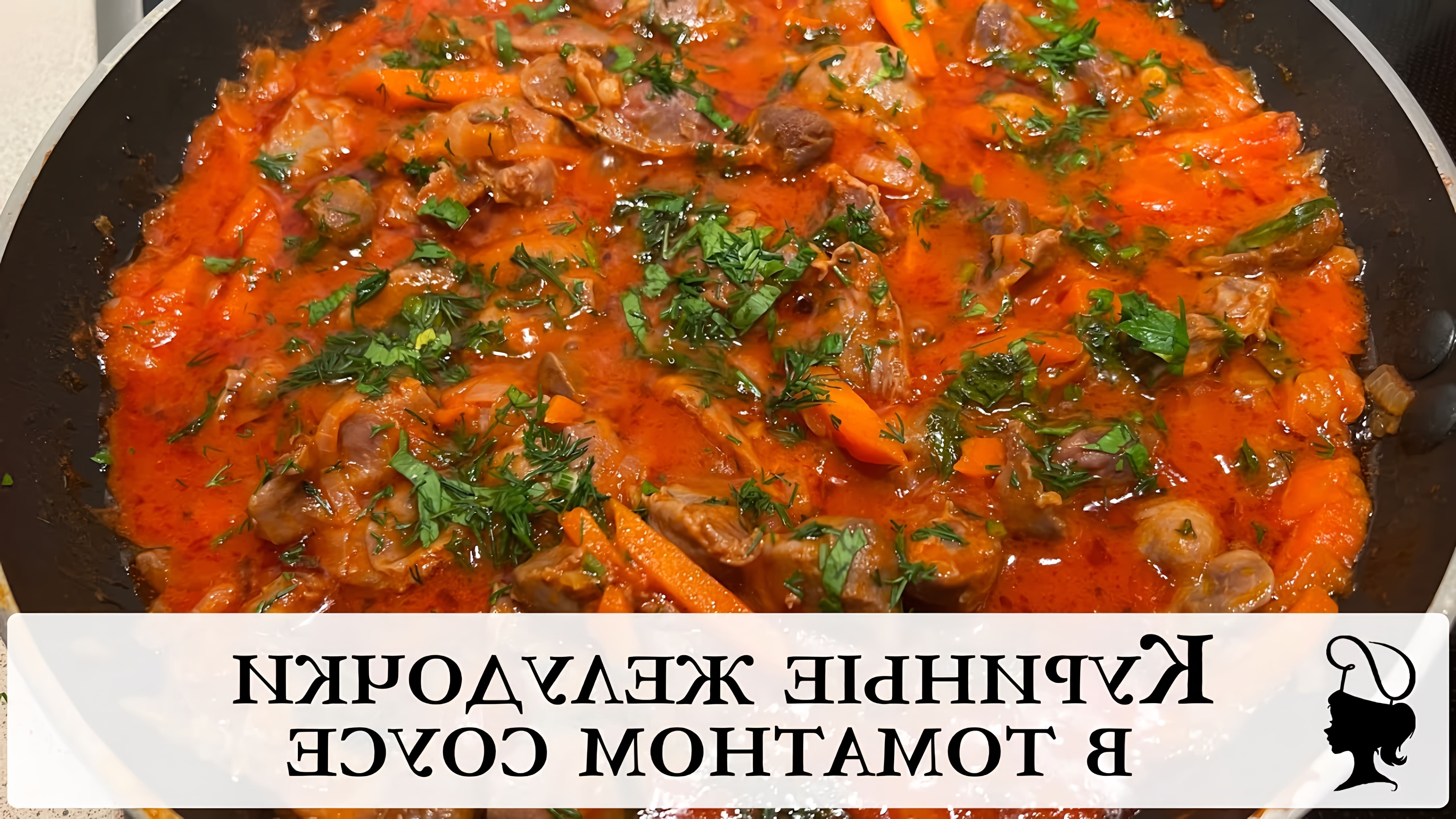 В этом видео демонстрируется рецепт приготовления куриных желудочков в томатном соусе