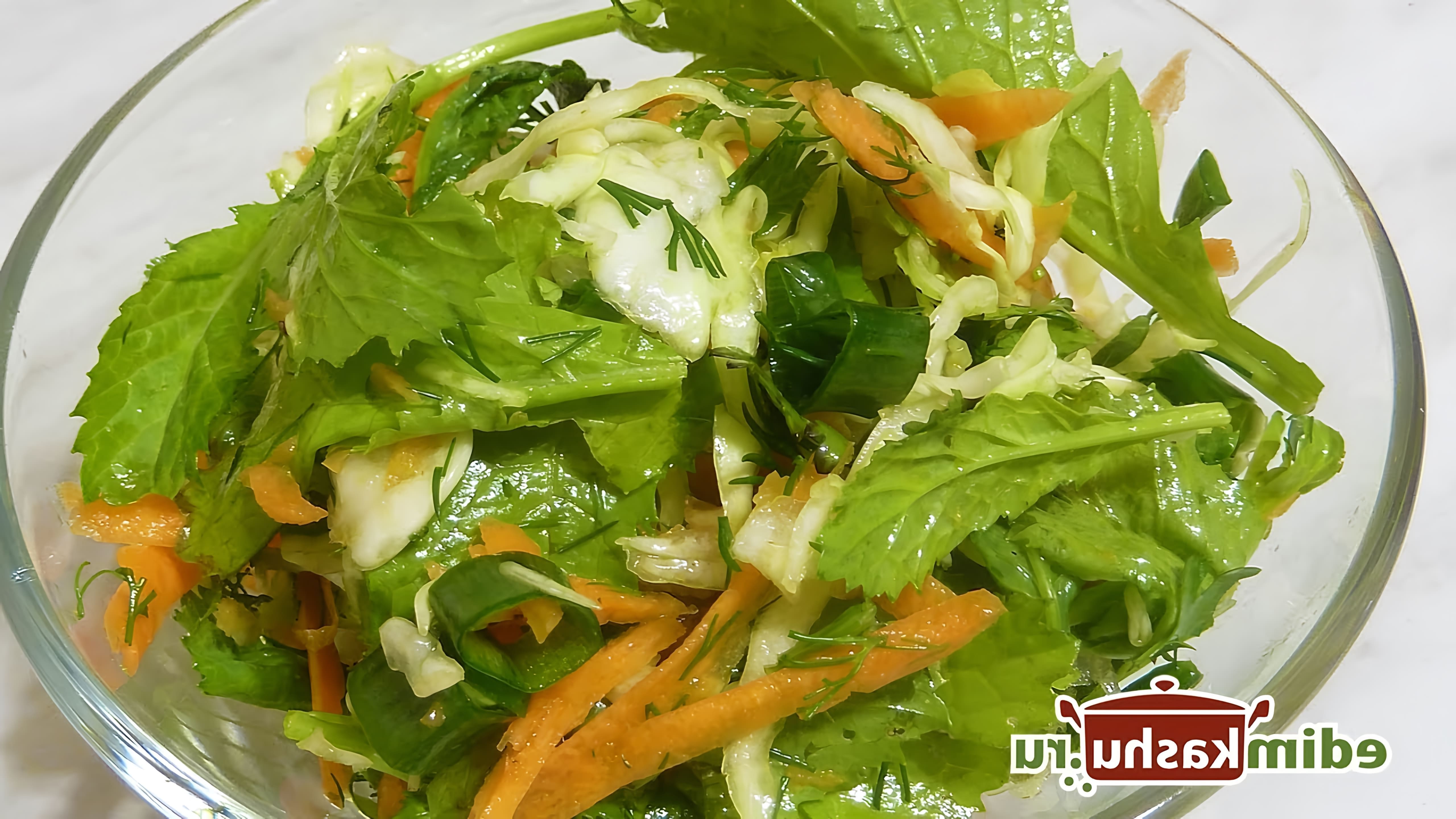 В этом видео Наталья Горбачева рассказывает о трех простых рецептах салатов с листовой горчицей