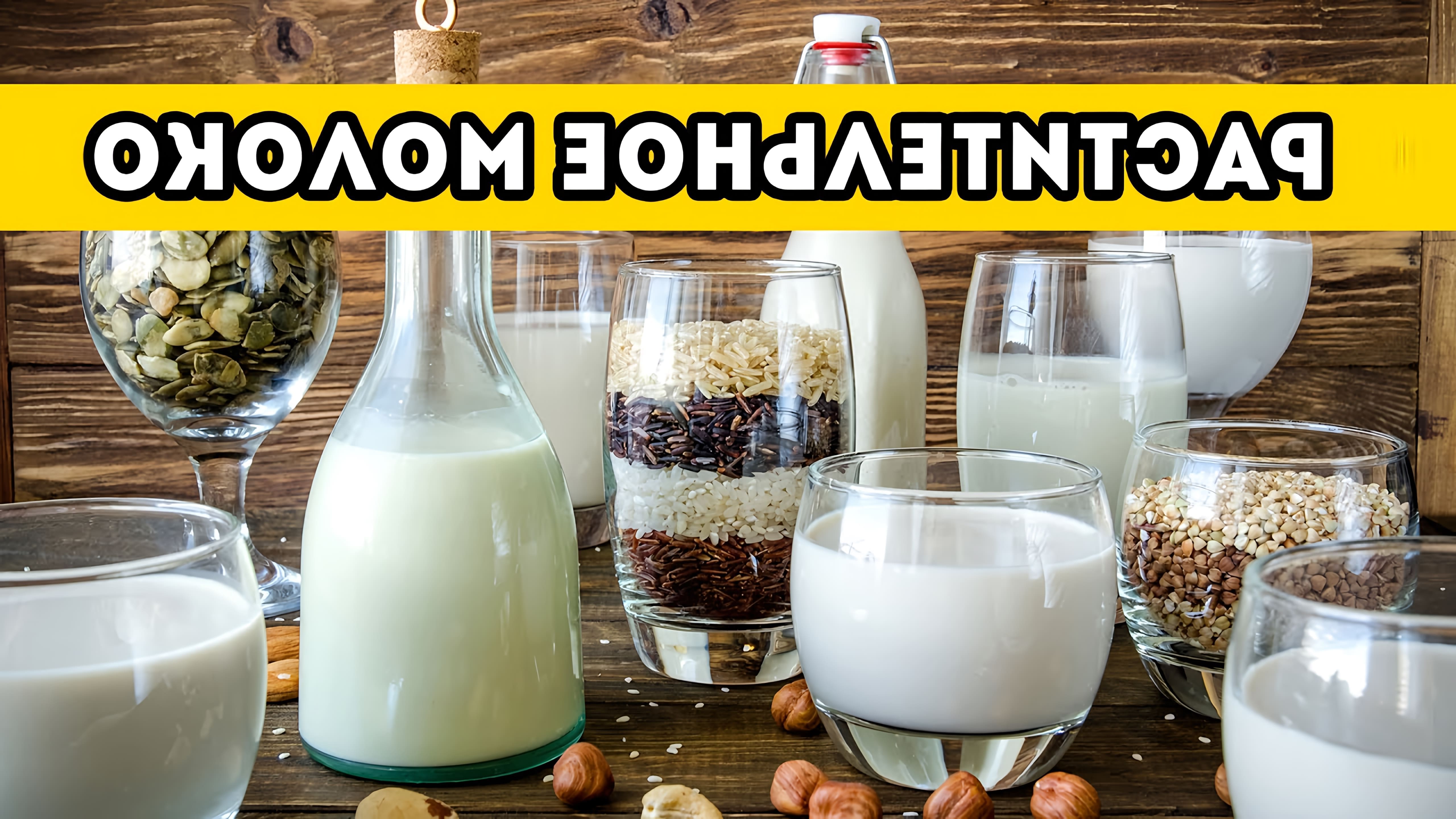 В этом видео Галина Артеменко рассказывает о двух способах приготовления растительного орехового молока из любых орехов