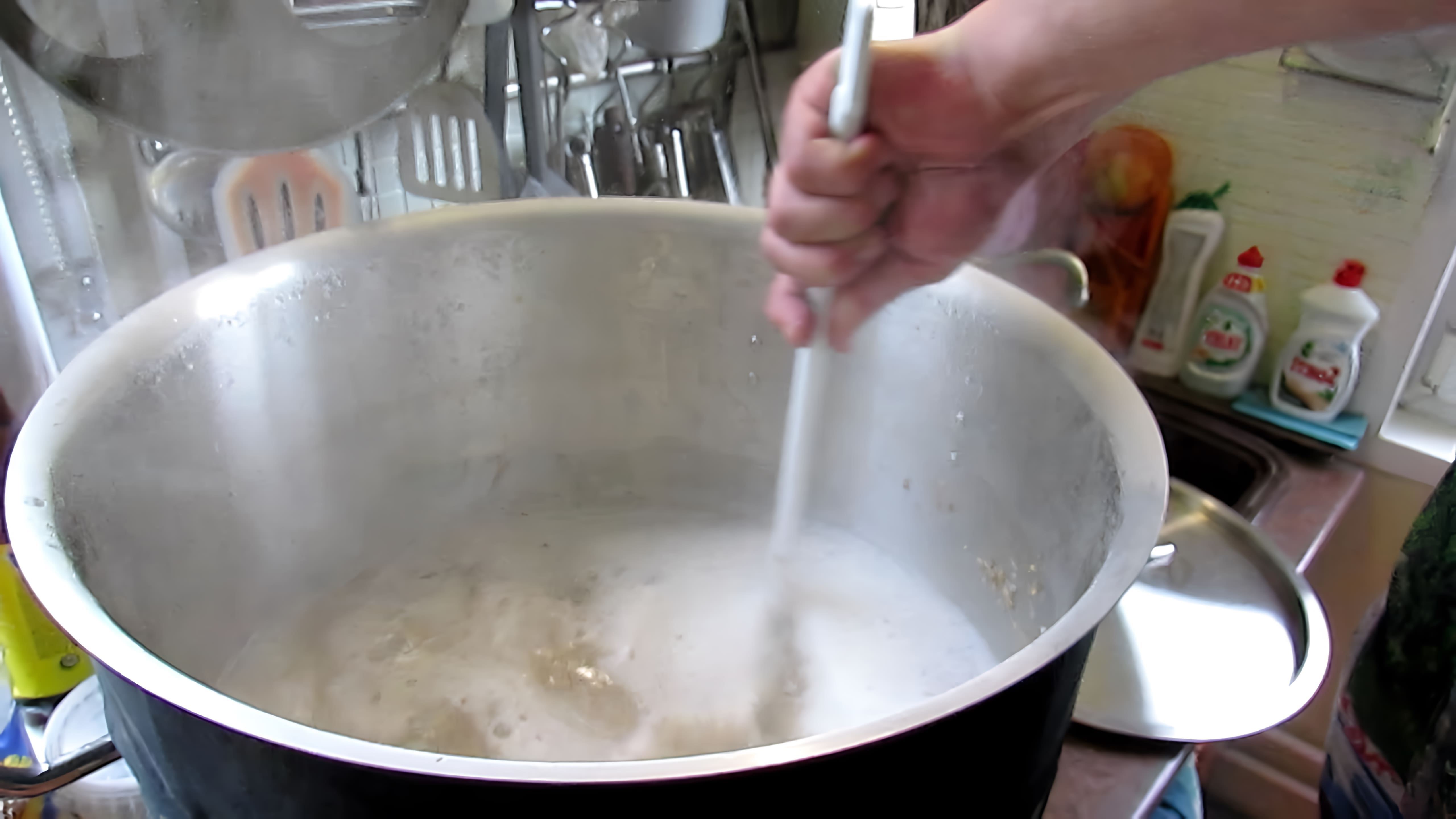 В данном видео демонстрируется процесс приготовления венского пива в домашних условиях