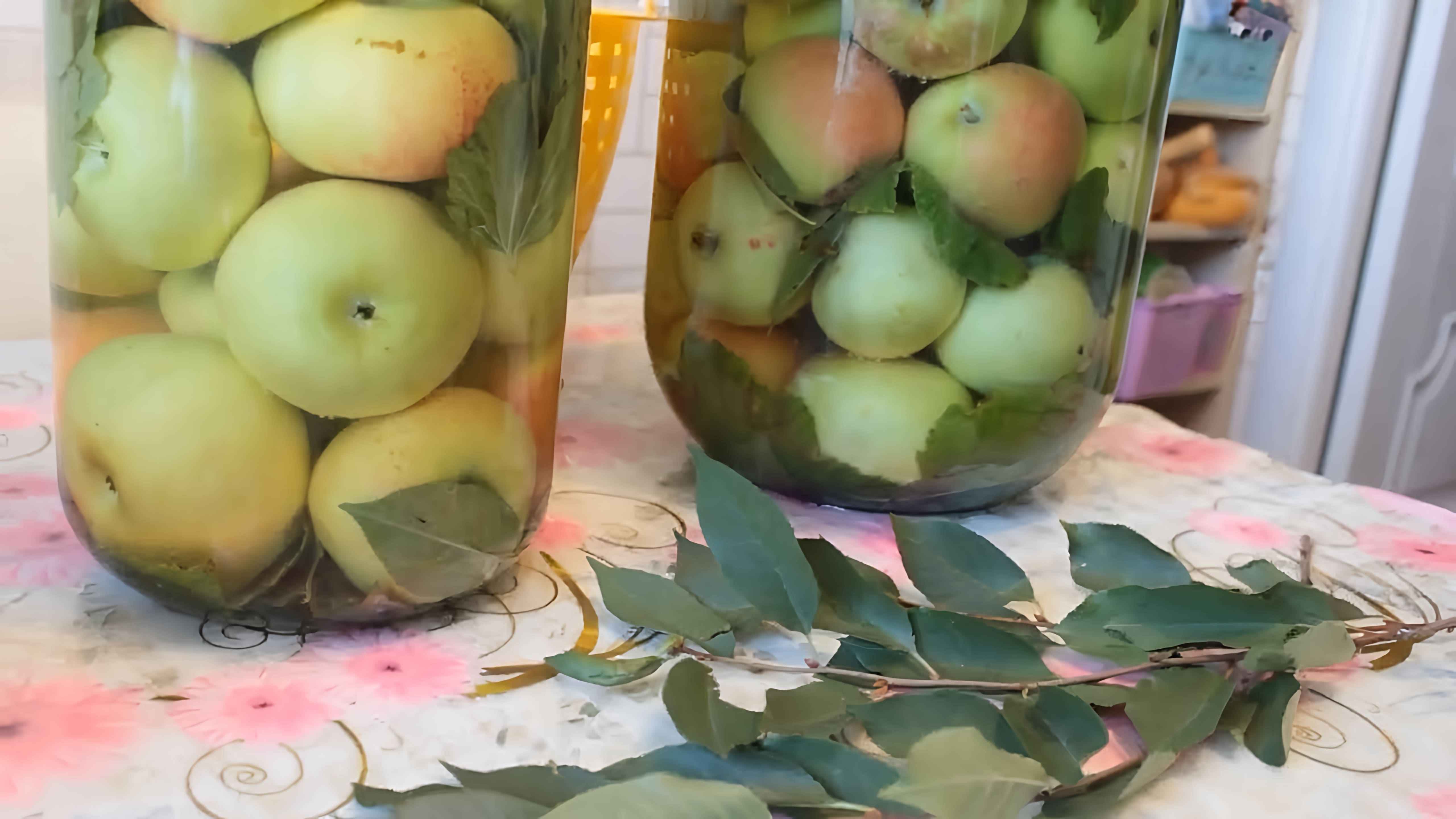 ЯБЛОКИ МОЧЕНЫЕ В БАНКАХ! 🍏Самый простой и Вкусный рецепт моченых яблок!👌 Заготовки на зиму!

В этом видео-ролике будет показан простой и вкусный рецепт моченых яблок, который можно использовать для заготовок на зиму