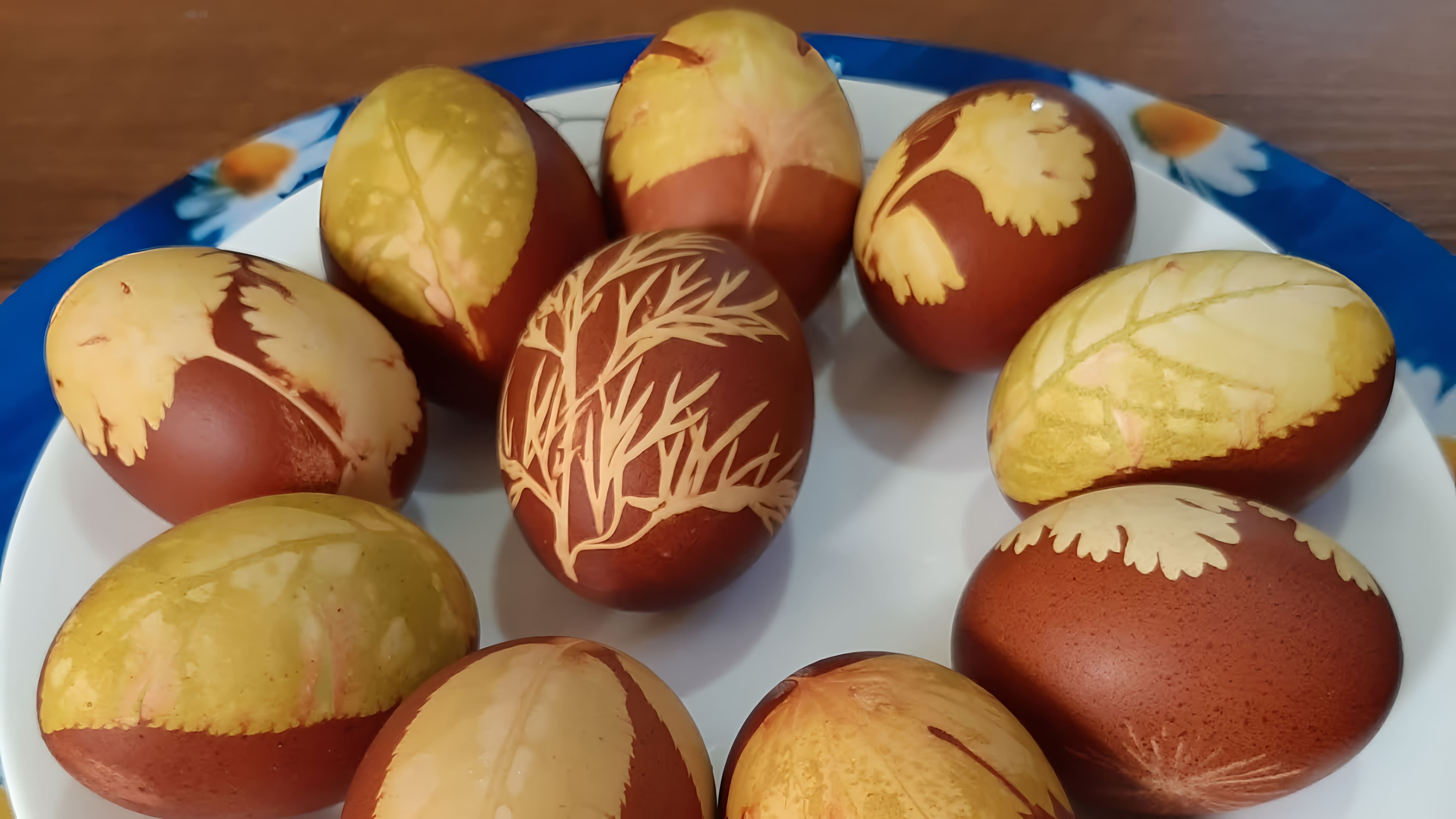 В этом видео-ролике будет рассказано о том, как легко, быстро и дёшево покрасить яйца в луковой шелухе на Пасху