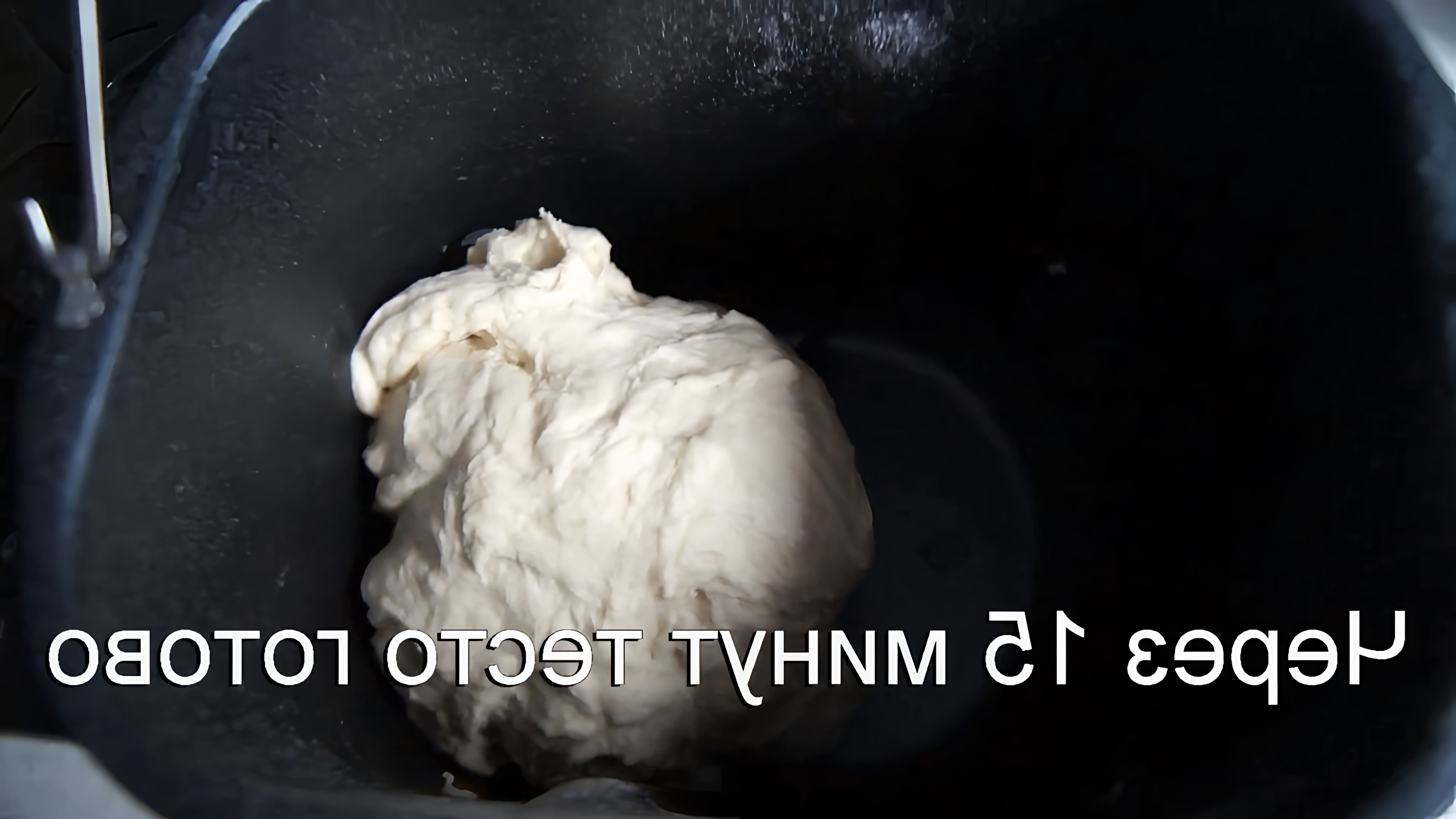 В данном видео-ролике демонстрируется процесс приготовления теста на пельмени с использованием хлебопечи Moulinex OE240E
