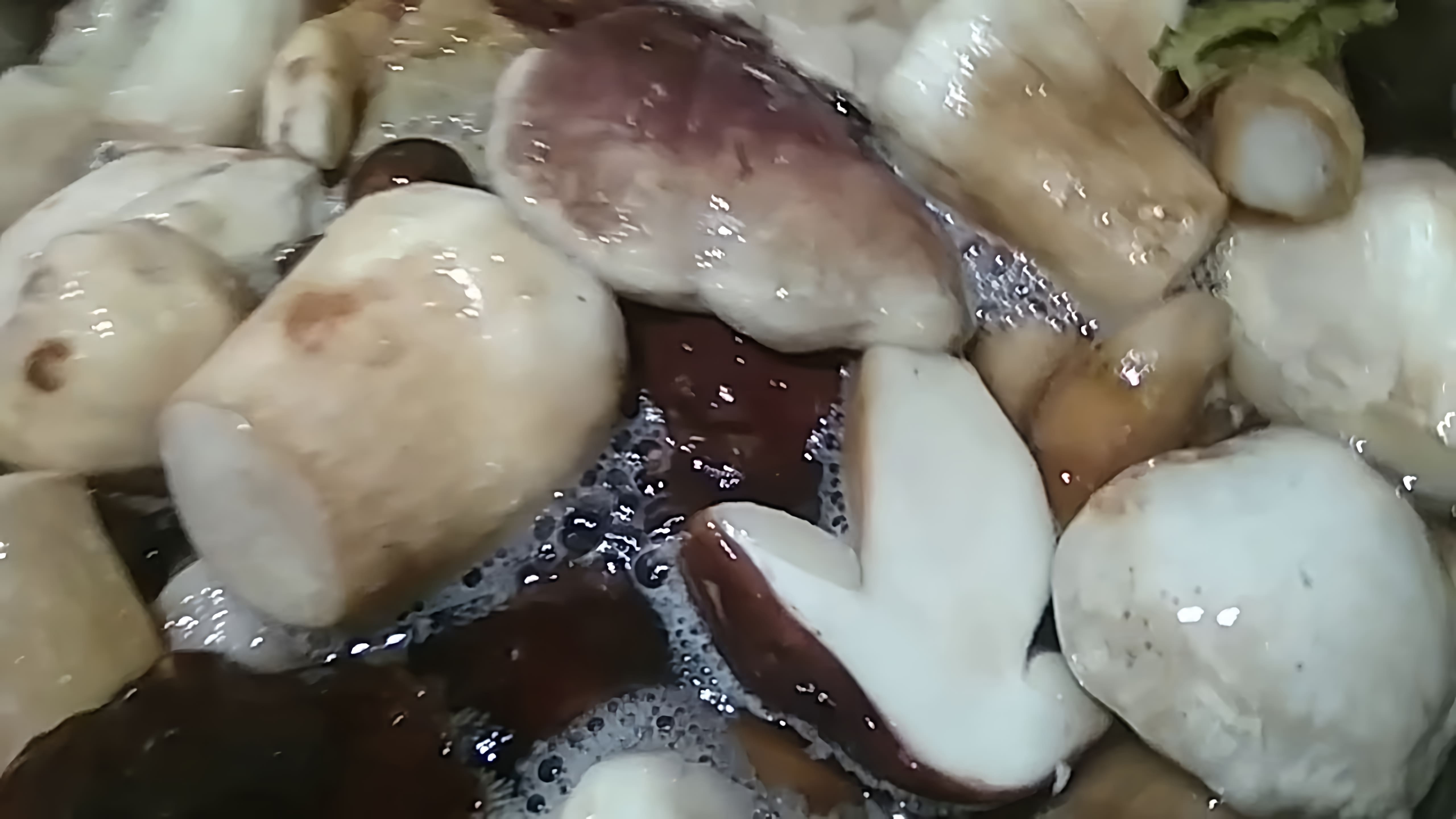 В этом видео демонстрируется процесс засолки белых грибов