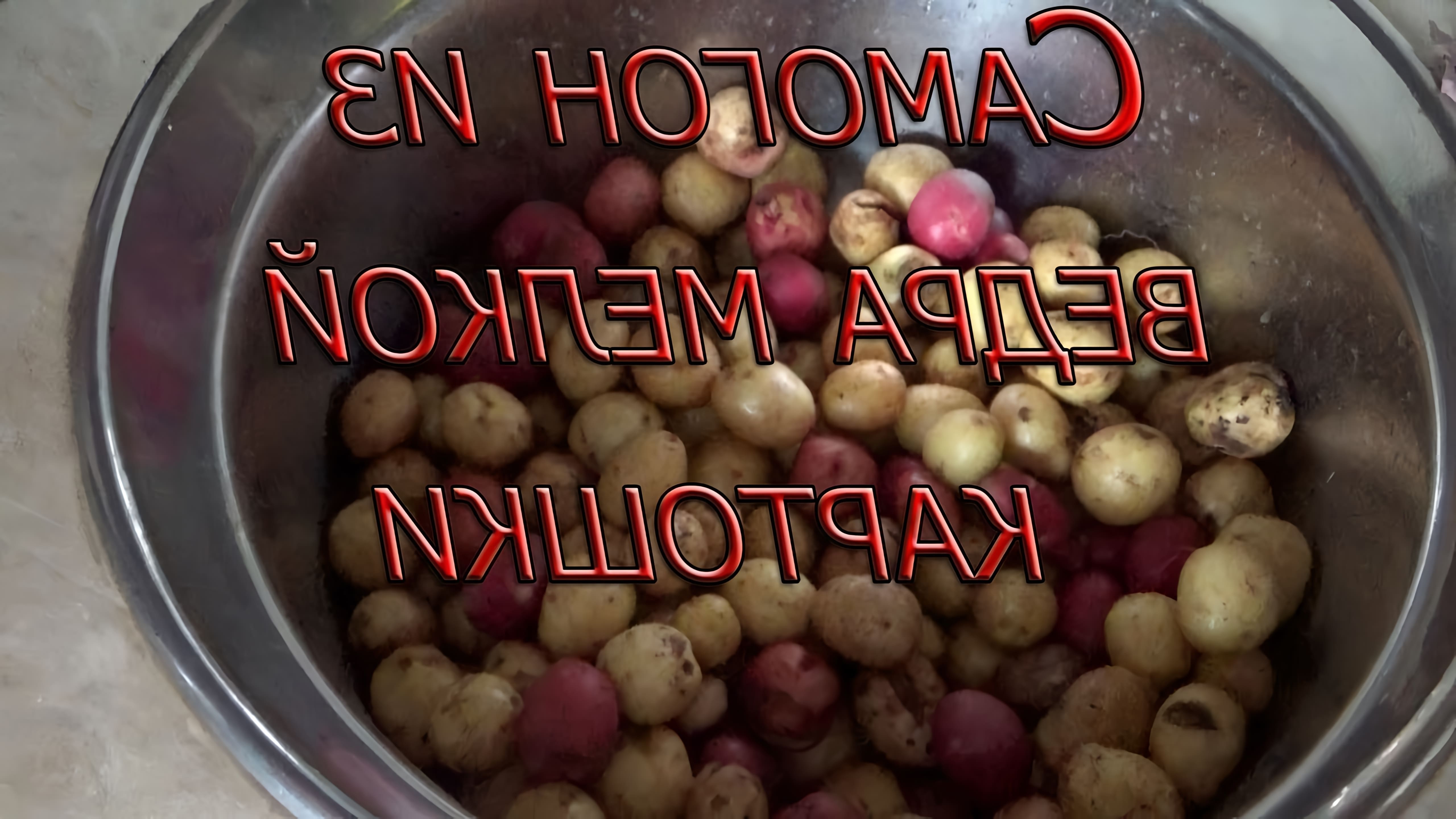 В данном видео автор проводит эксперимент по изготовлению самогона из картофеля