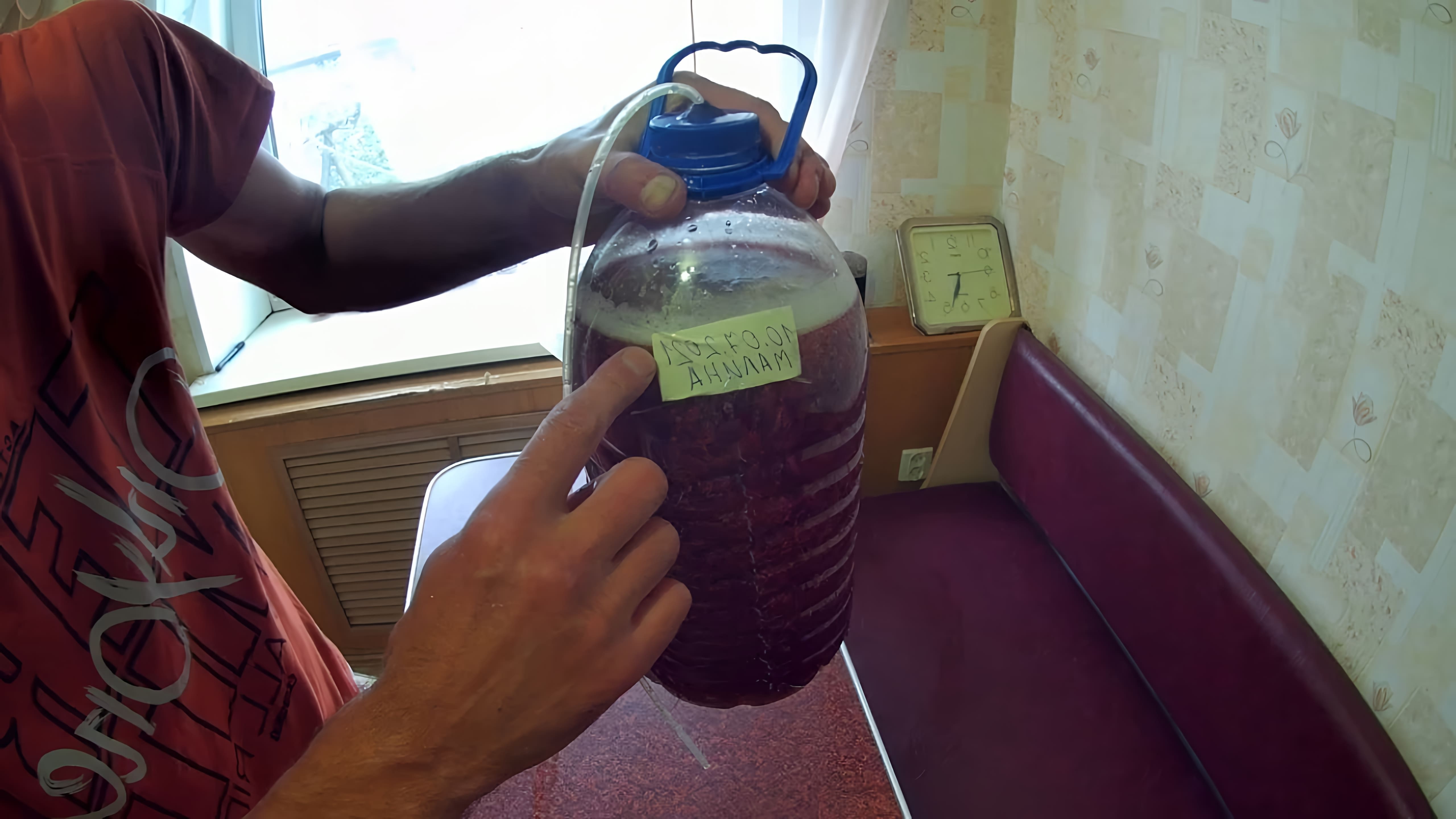 В данном видео демонстрируется процесс приготовления домашнего вина из малины