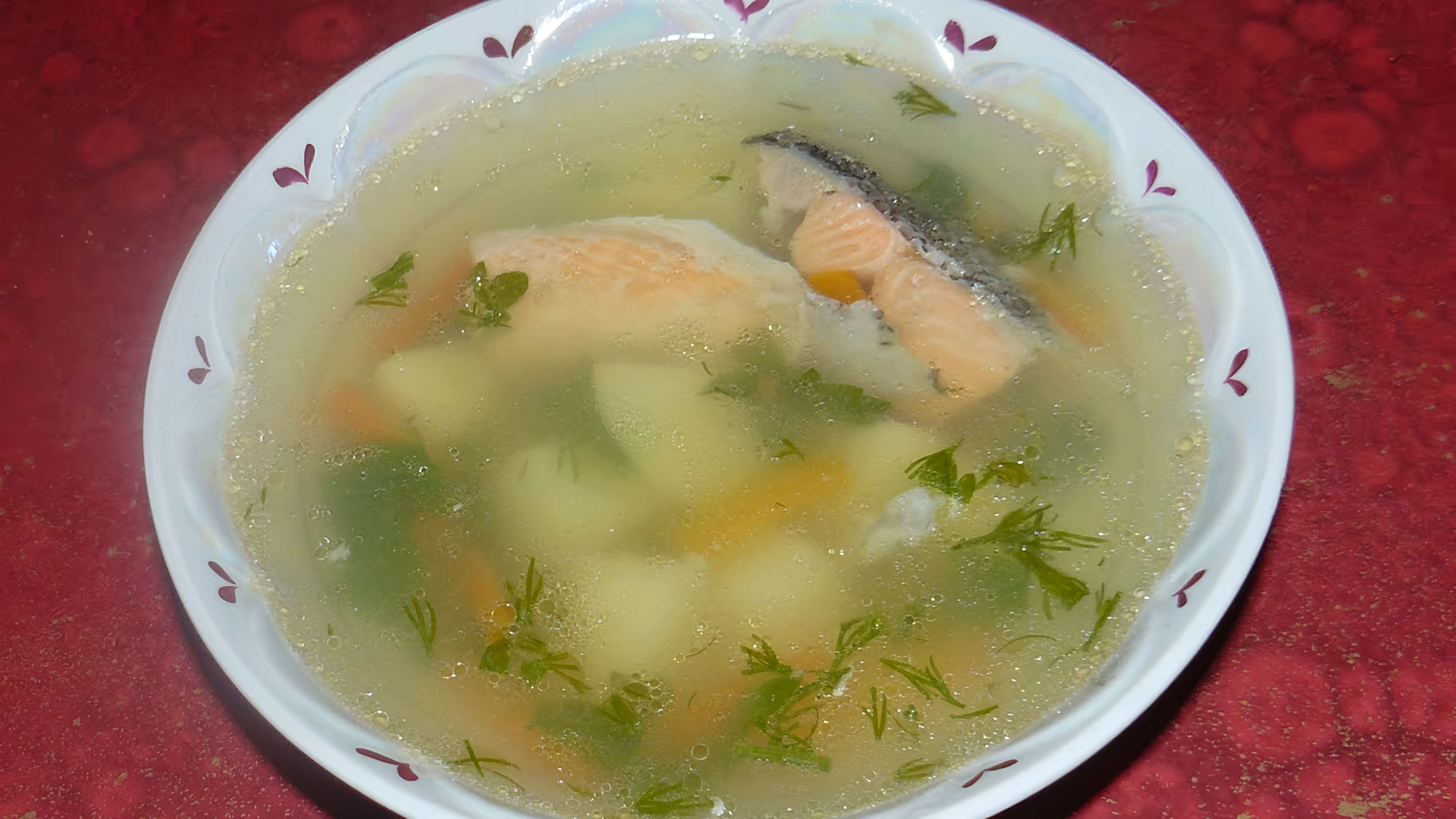В этом видео-ролике показан процесс приготовления легкого и вкусного рыбного супа из красной рыбы, который можно назвать почти ухой