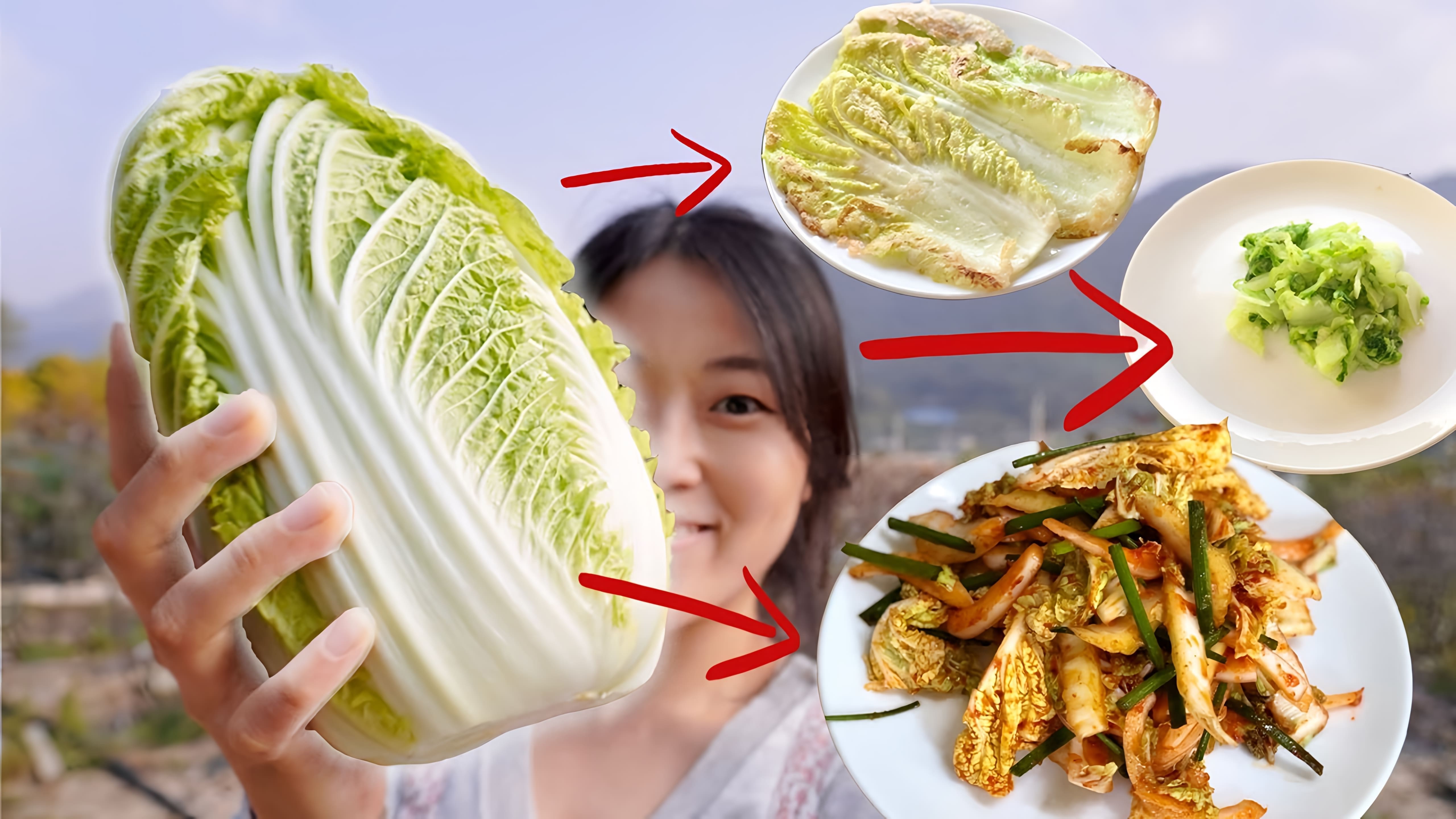 В этом видео рассказывается о том, как приготовить три блюда из пекинской капусты
