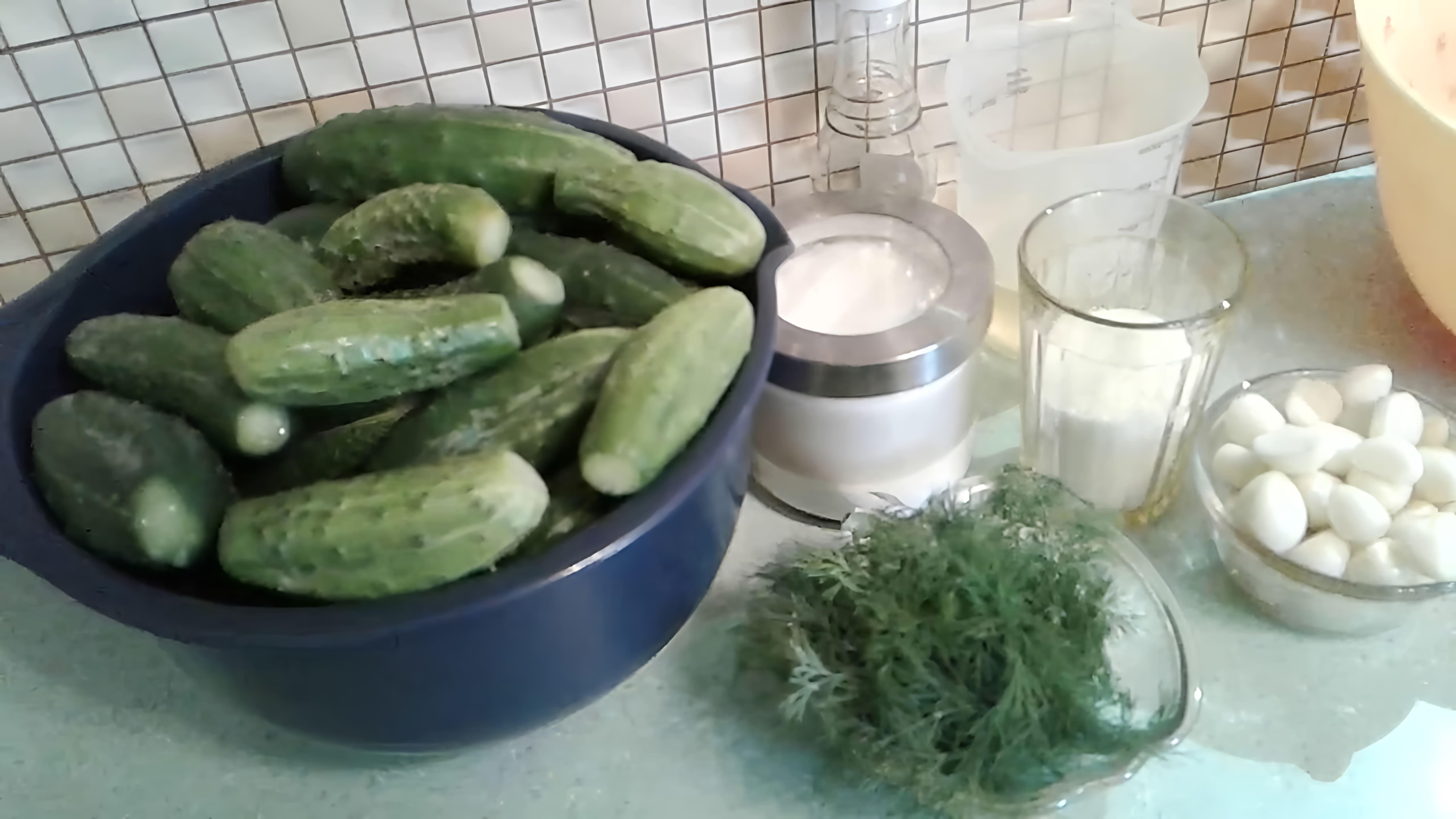 В этом видео демонстрируется процесс приготовления домашней аджики из огурцов и томатов