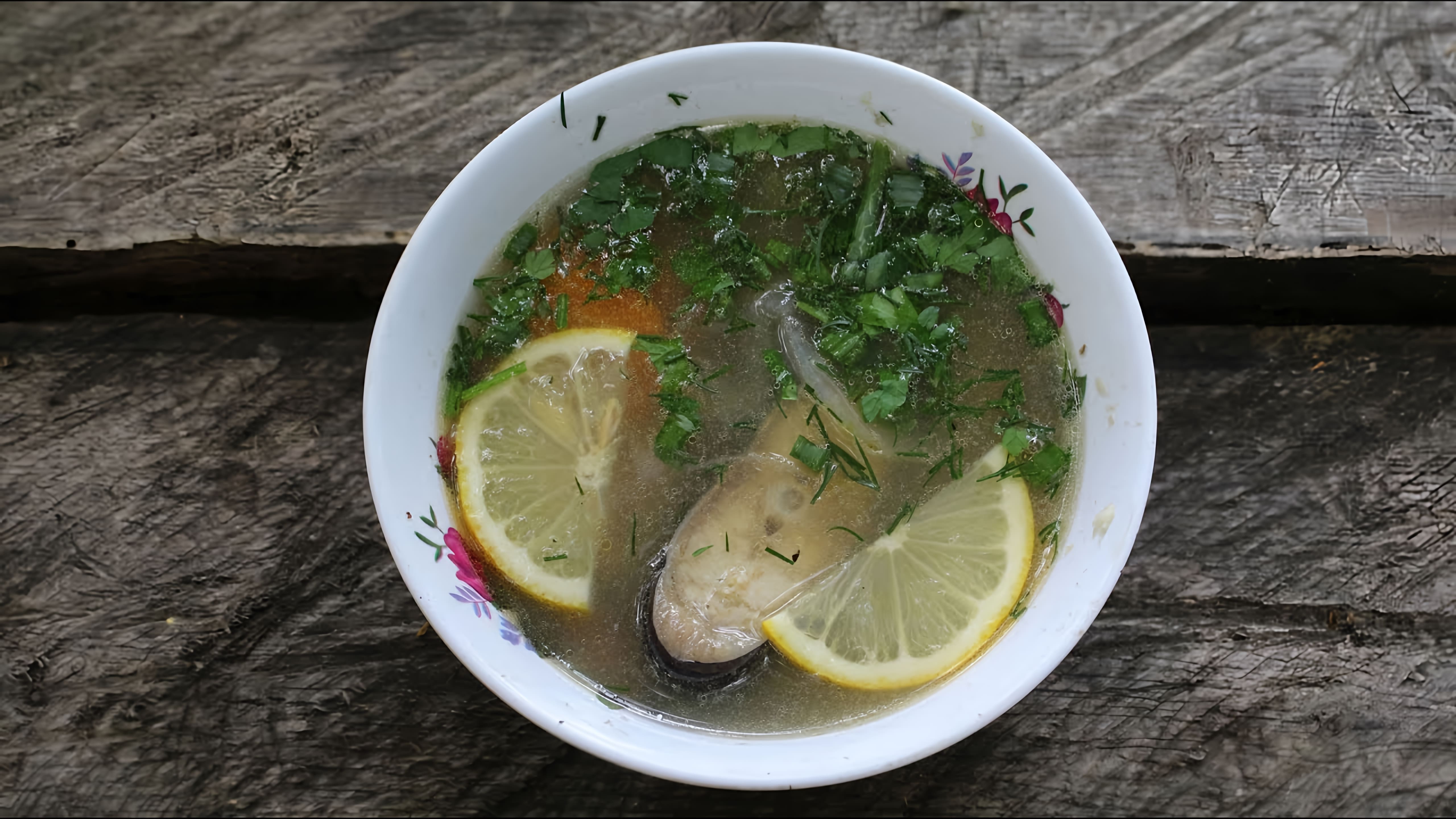 Уха из сома как приготовить в казане | Сatfish soup VKAZANE