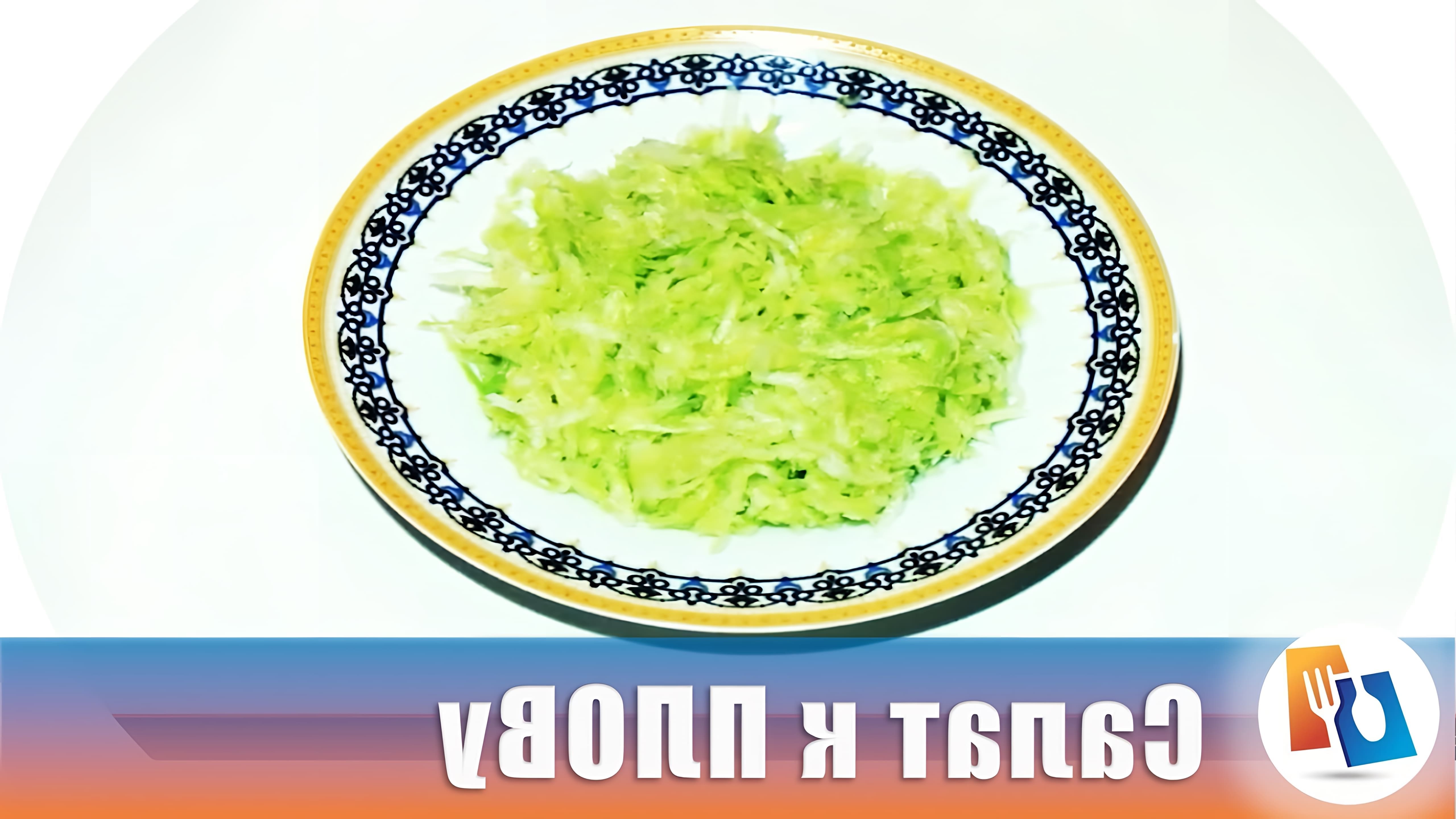 В этом видео-ролике будет представлен рецепт приготовления салата из редьки, который идеально подходит к узбекскому плову