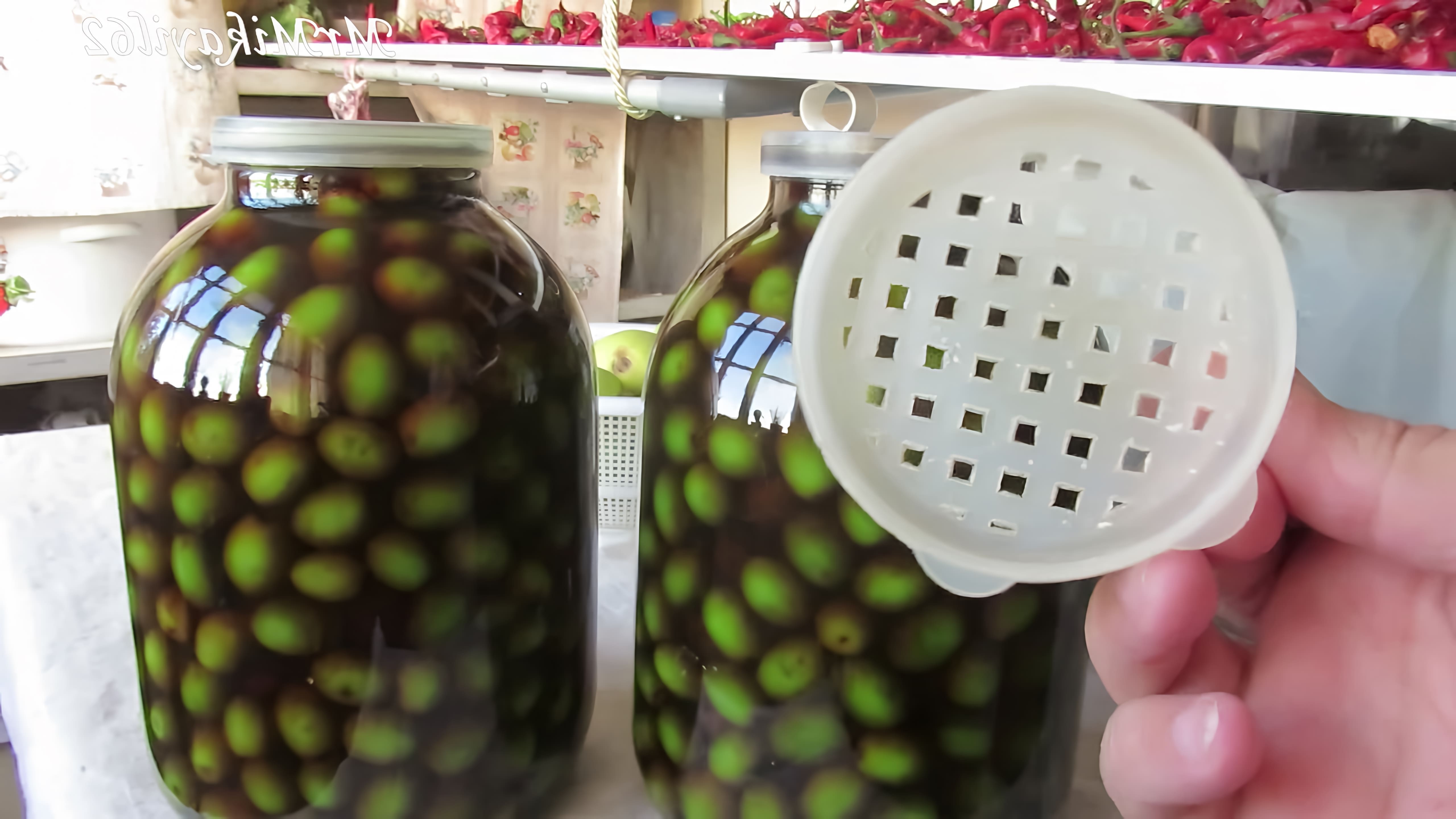 В этом видео демонстрируется процесс соления оливок в домашних условиях