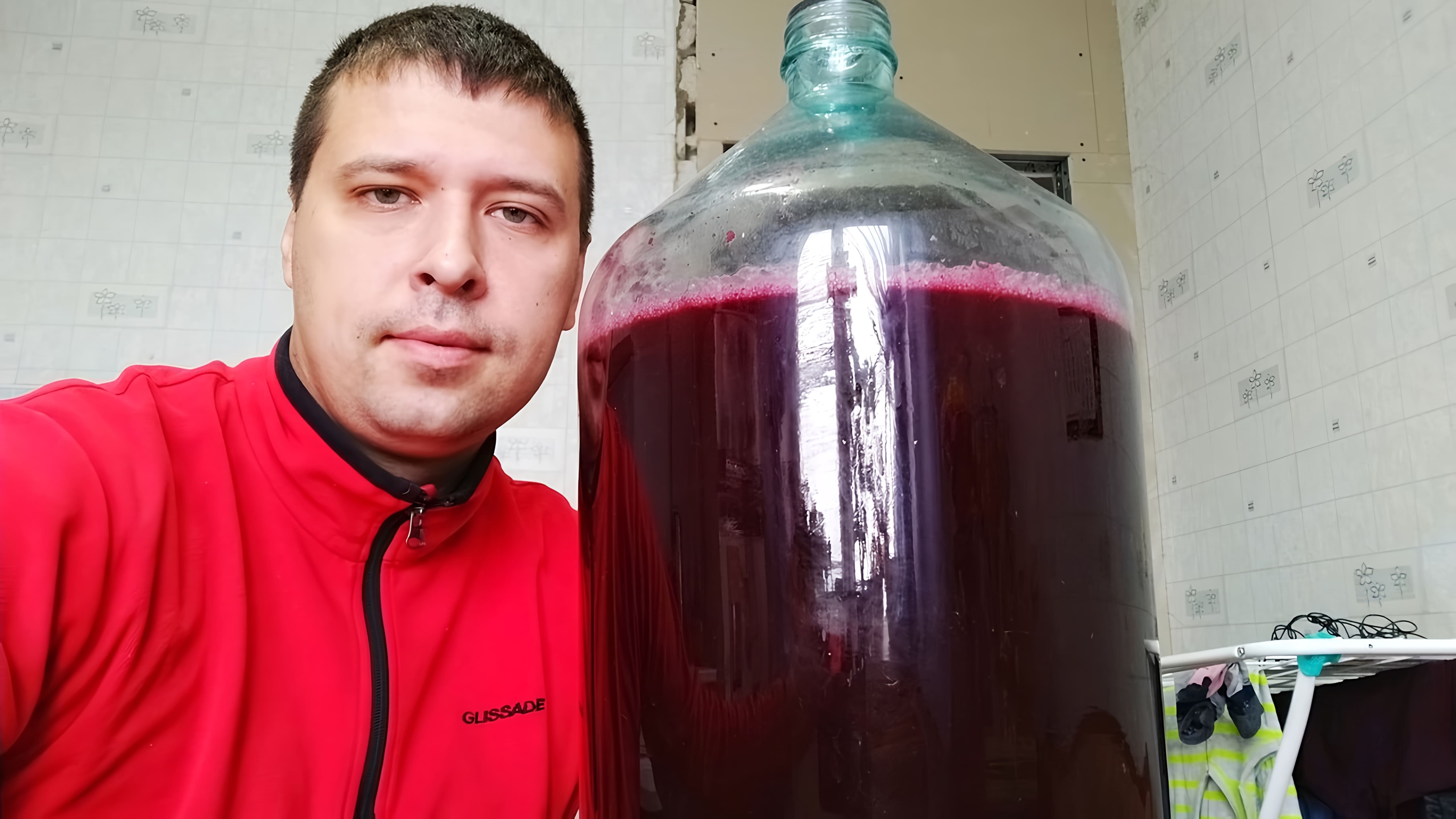 В данном видео демонстрируется процесс приготовления домашнего вина из черноплодной рябины