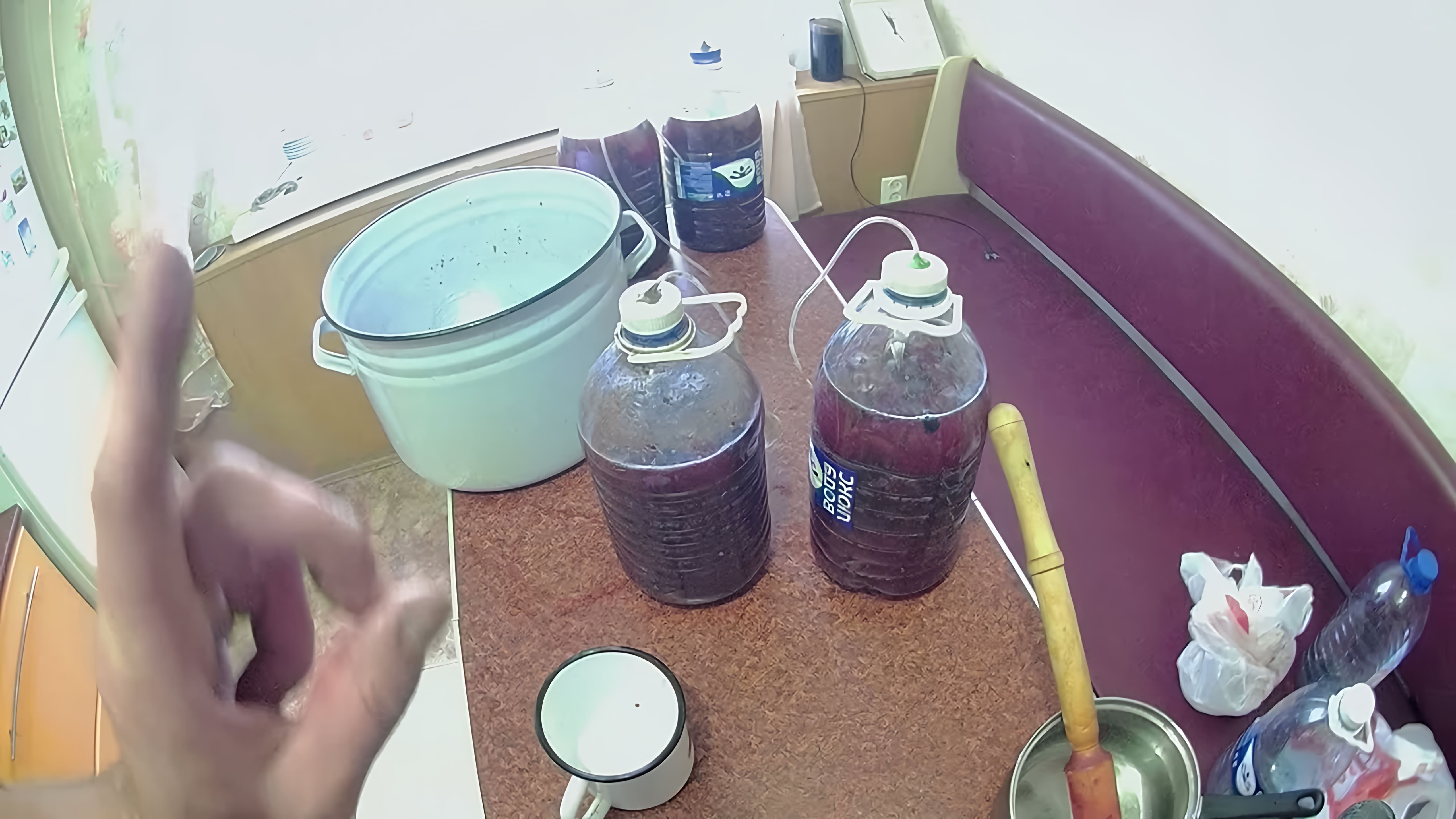 В данном видео демонстрируется процесс приготовления домашнего вина из черной смородины