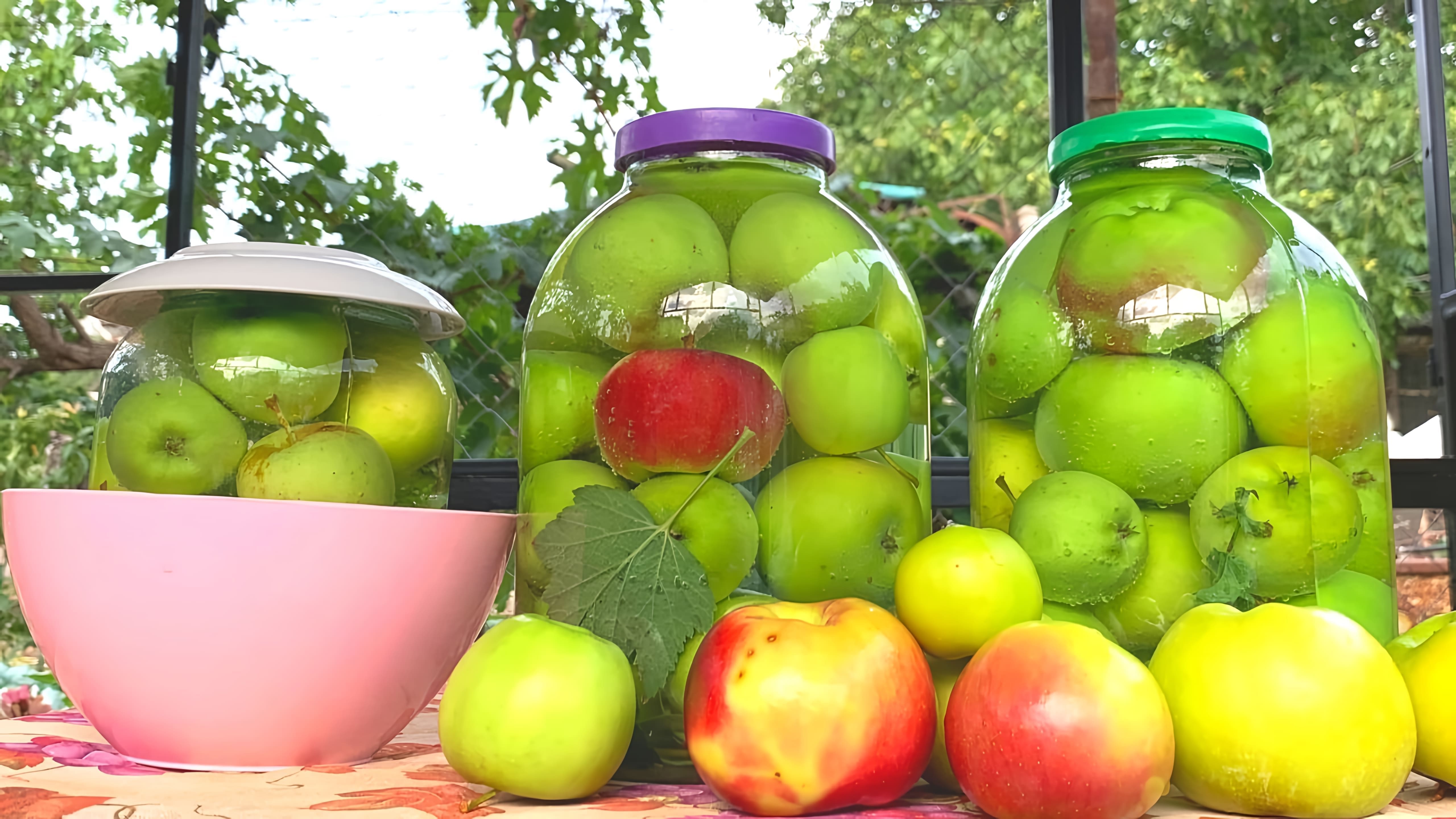 В этом видео демонстрируется процесс приготовления квашеных яблок на зиму