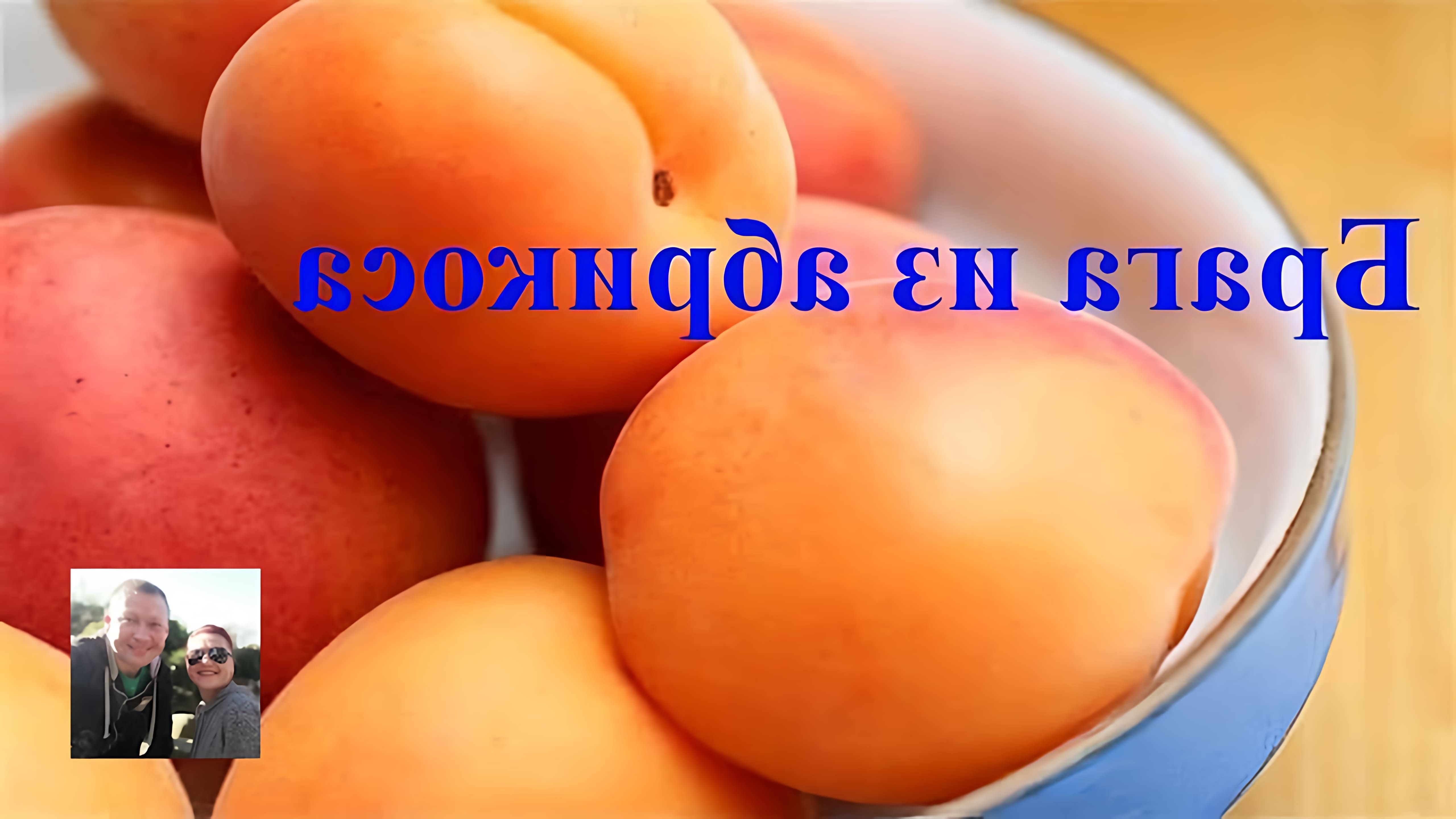В этом видео-ролике рассказывается о процессе приготовления браги из абрикосов за шесть дней