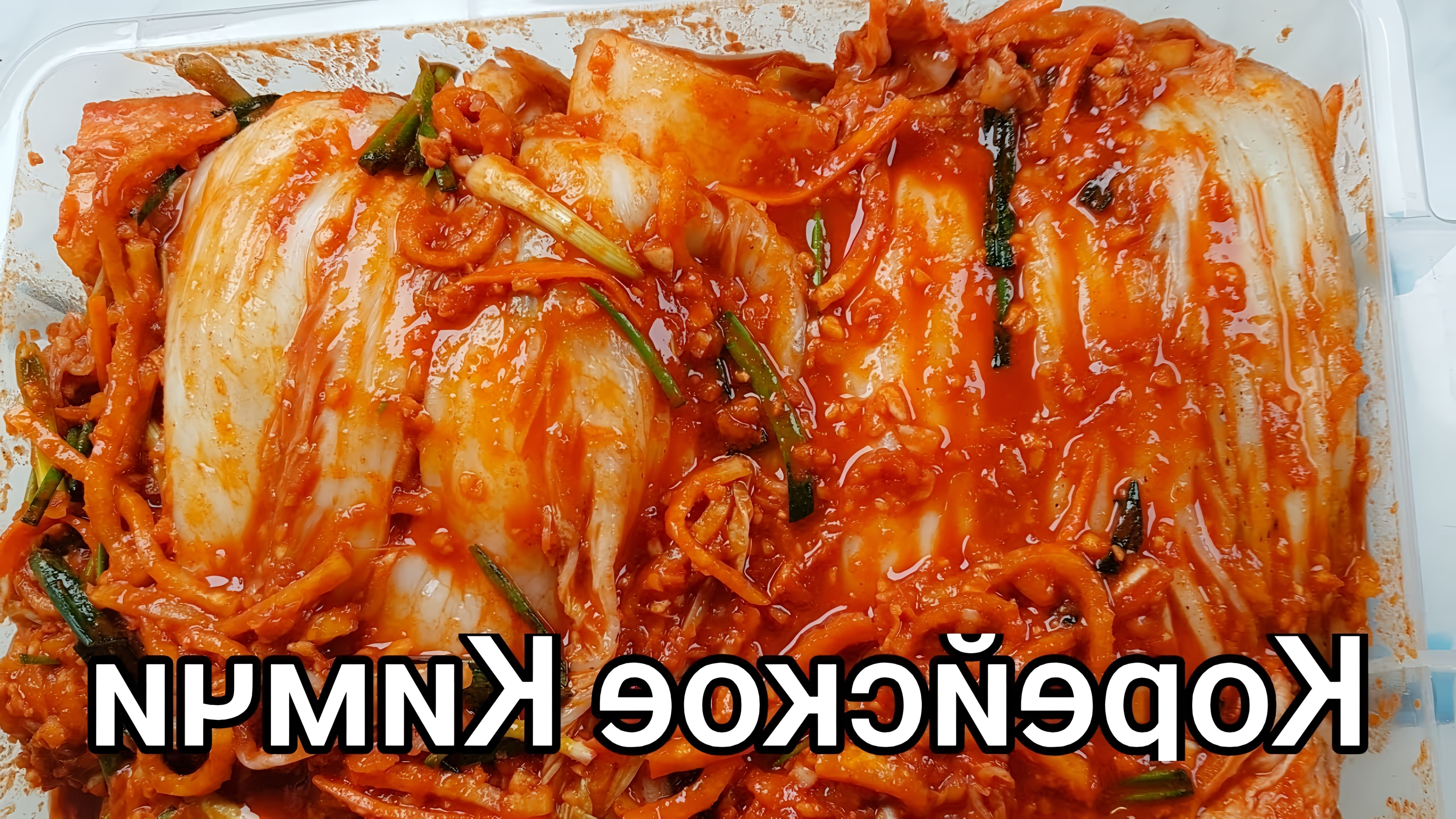 В этом видео демонстрируется процесс приготовления корейского кимчи, традиционного блюда из пекинской капусты