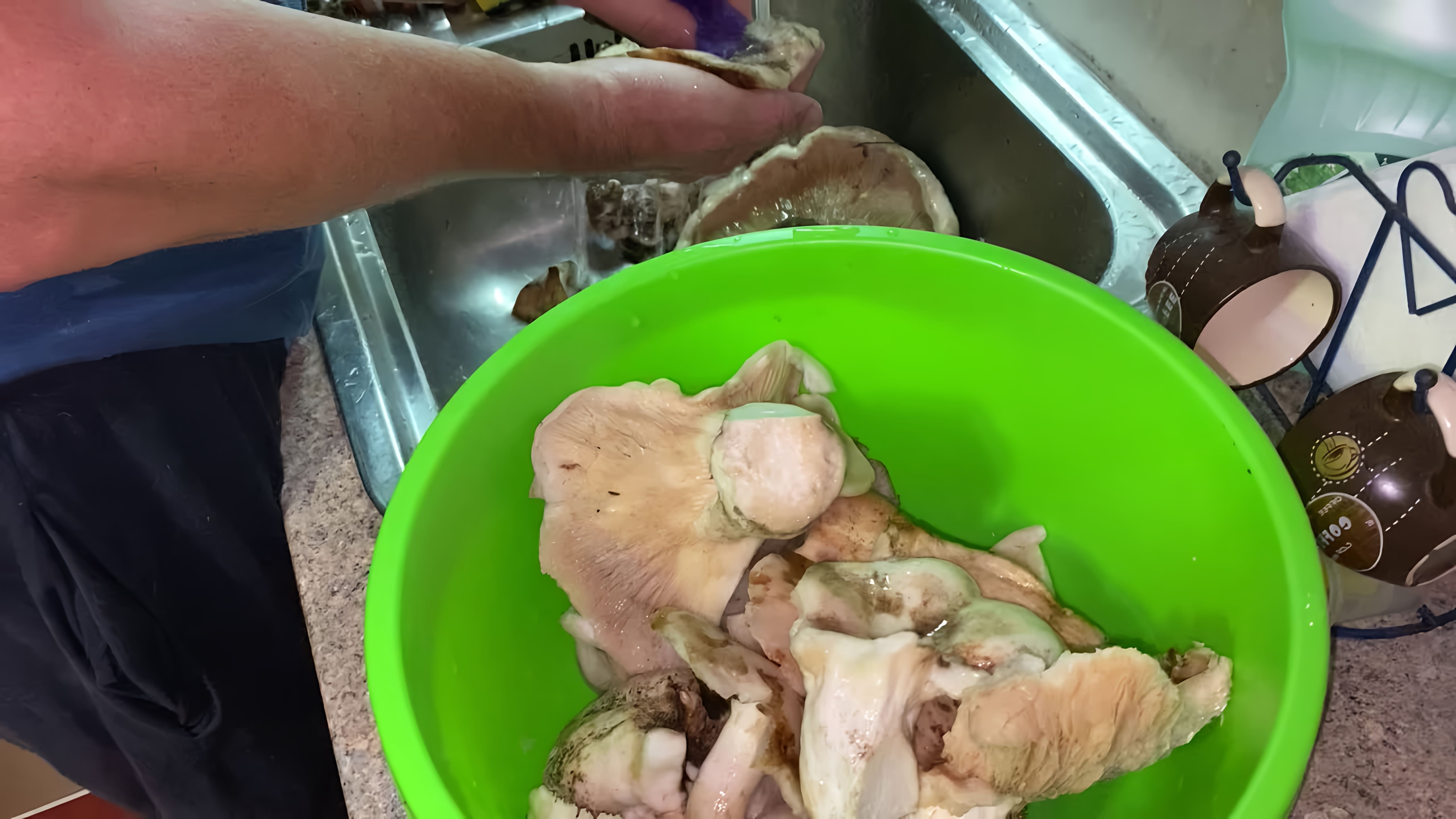 В этом видео-ролике мы покажем, как приготовить грибы сыроежки