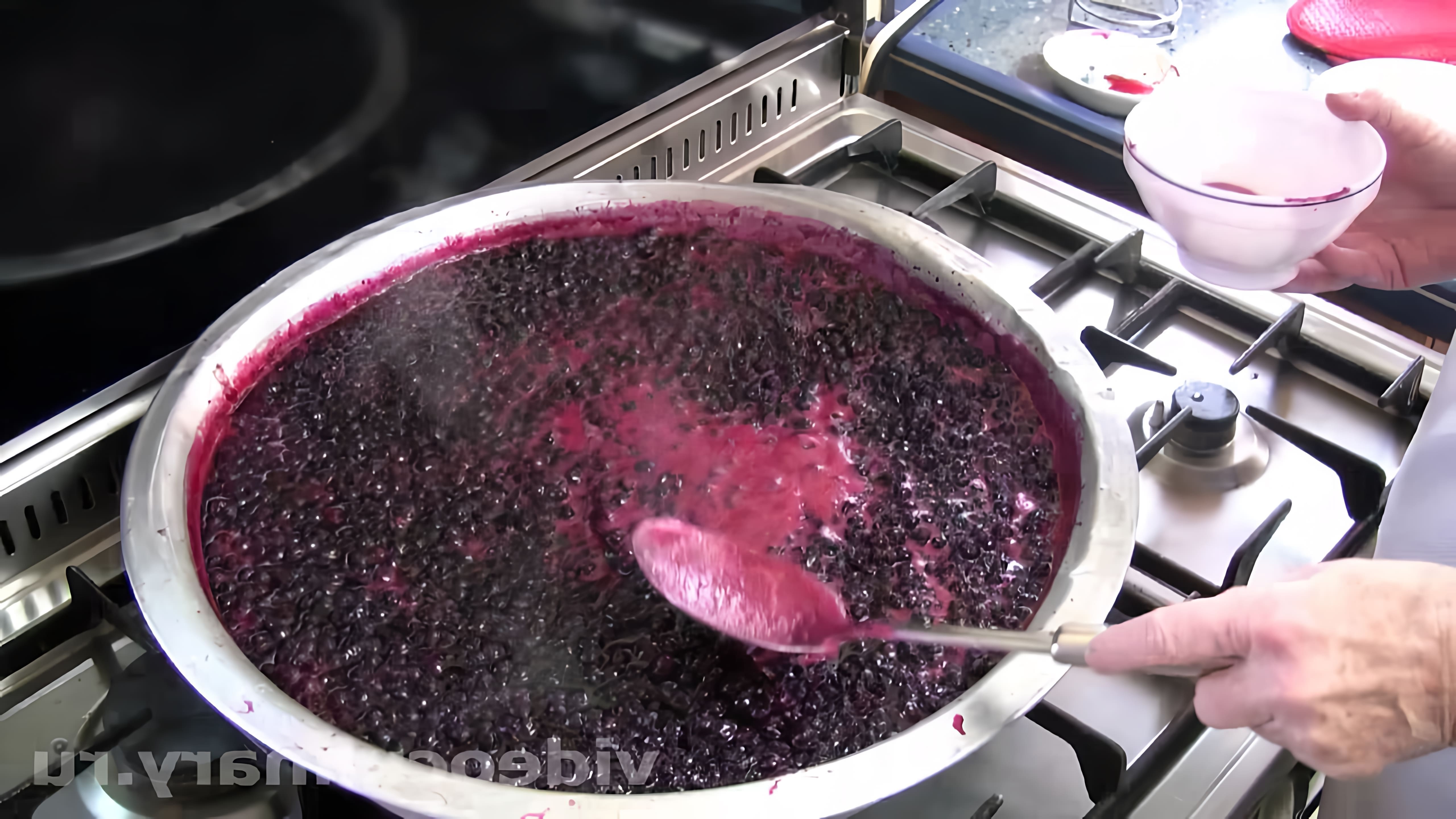 В данном видео демонстрируется процесс приготовления варенья из черной смородины по рецепту Бабушки Эммы