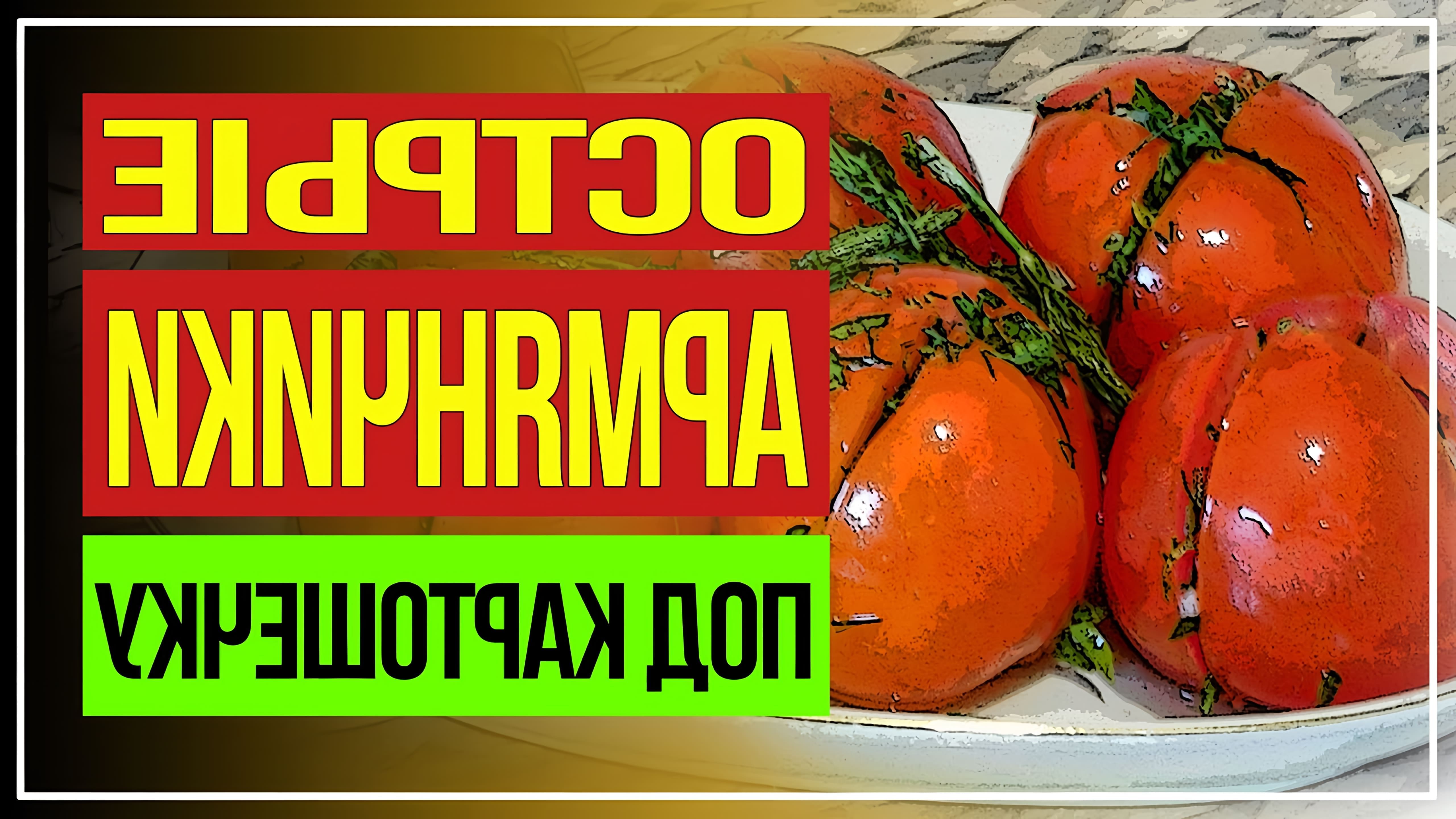 Сегодня у меня «армянчики» или вкусные острые маринованные помидоры, которые готовятся всего лишь сутки. Закуска... 