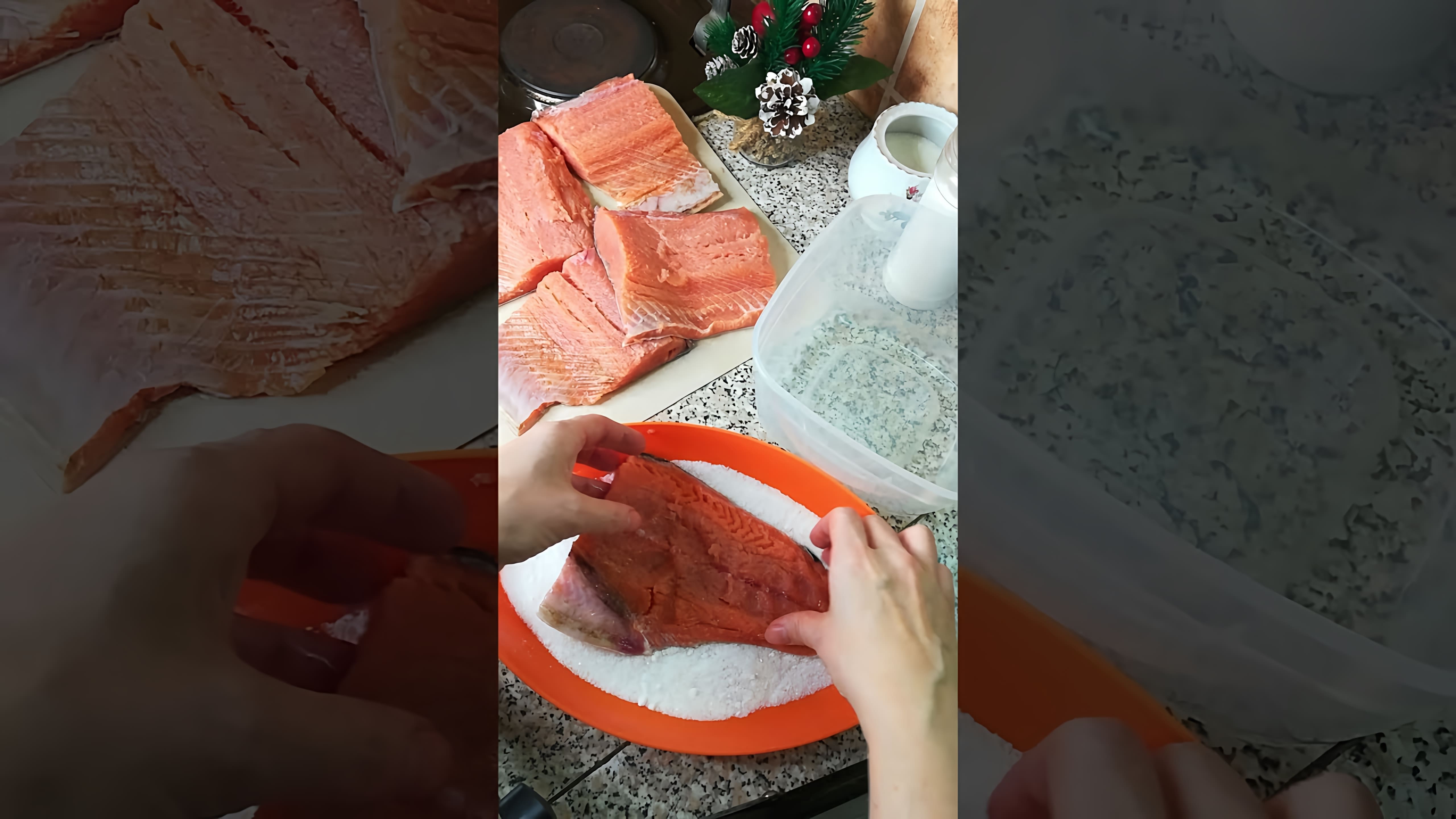 В этом видео демонстрируется процесс приготовления малосольной красной рыбы к празднику