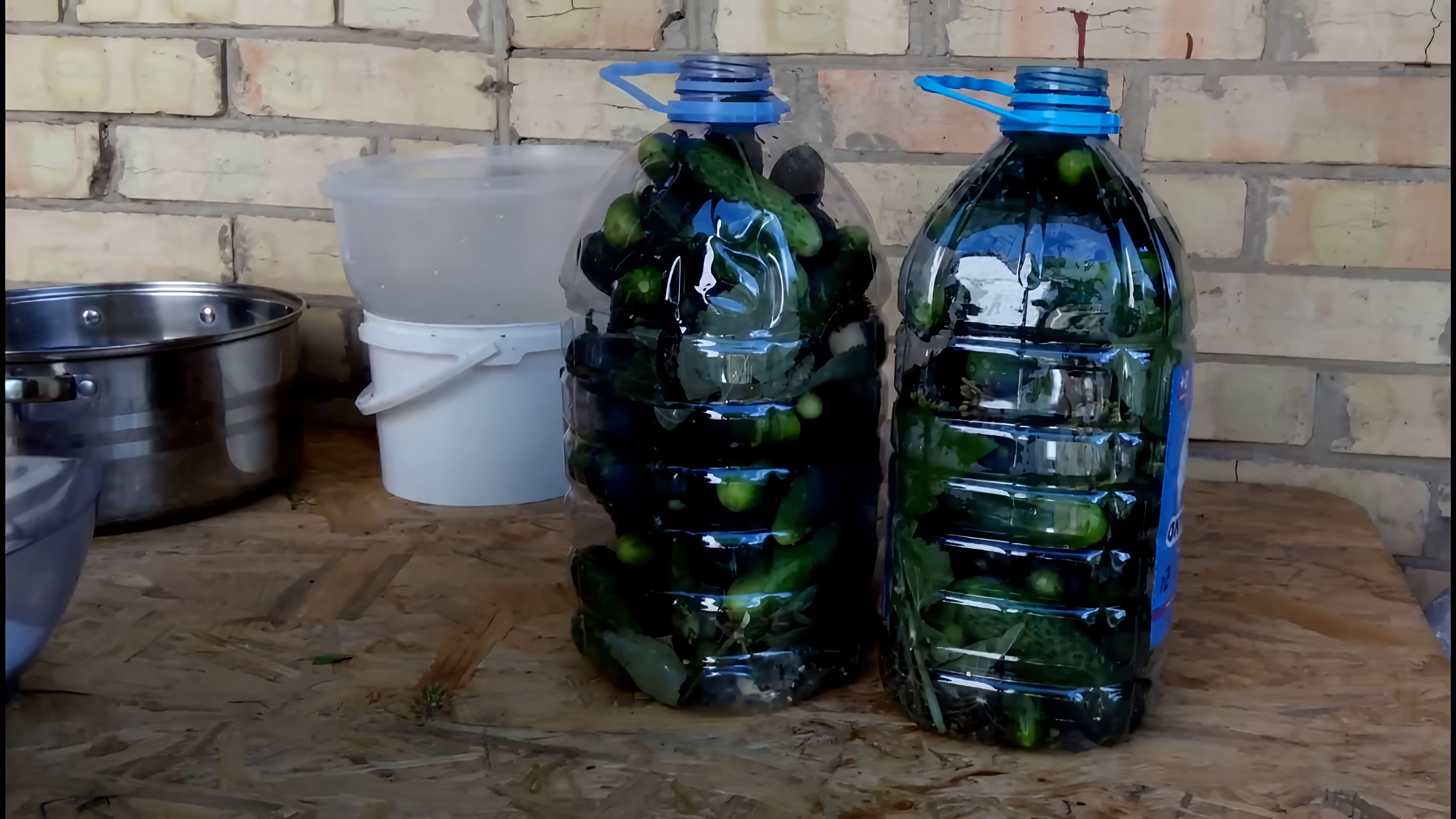 В этом видео демонстрируется процесс засолки огурцов холодным способом в пластиковых бутылках