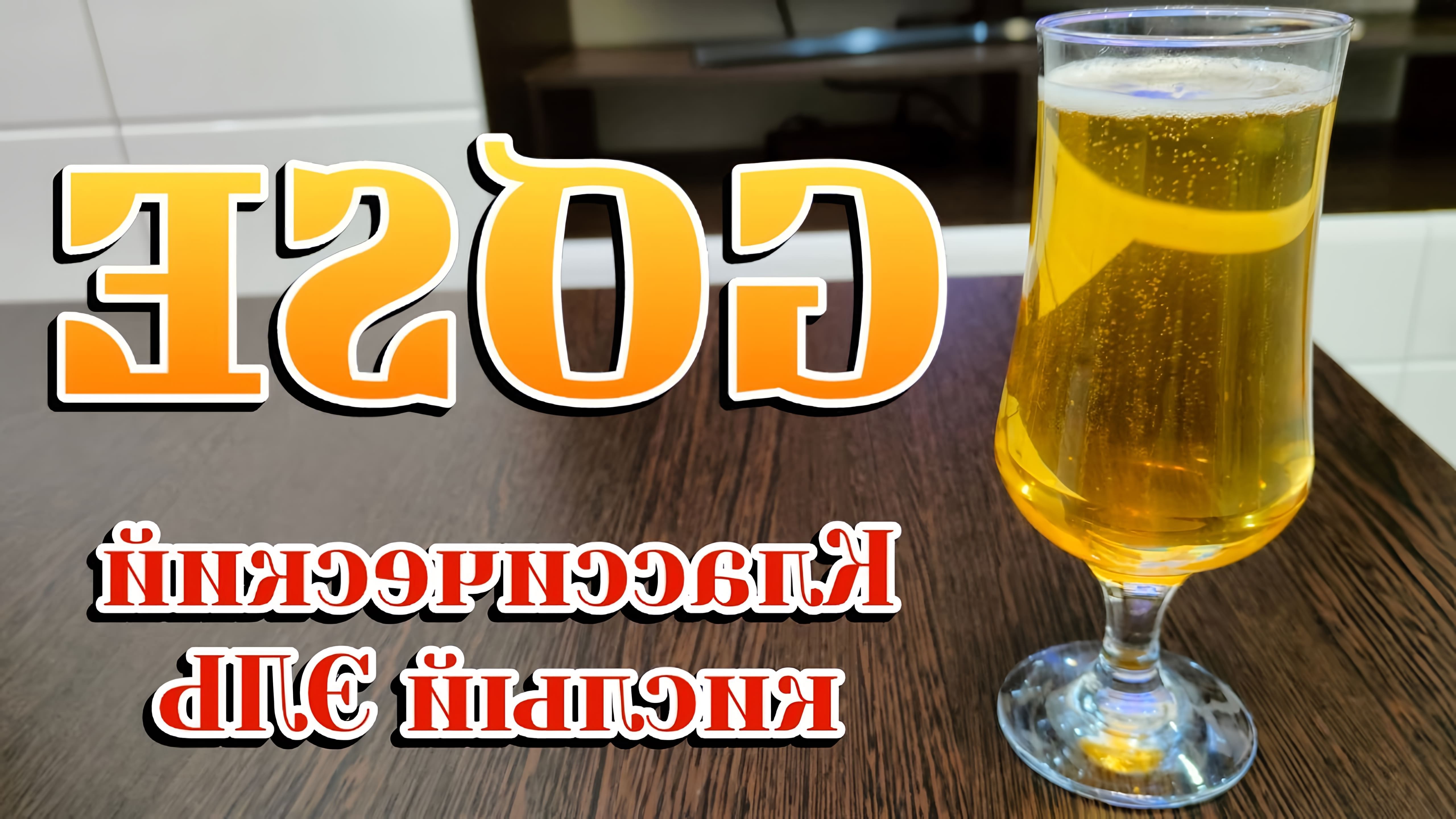 Рецепт пива ГОЗЕ - это классический кислый Эль, который можно приготовить в домашних условиях