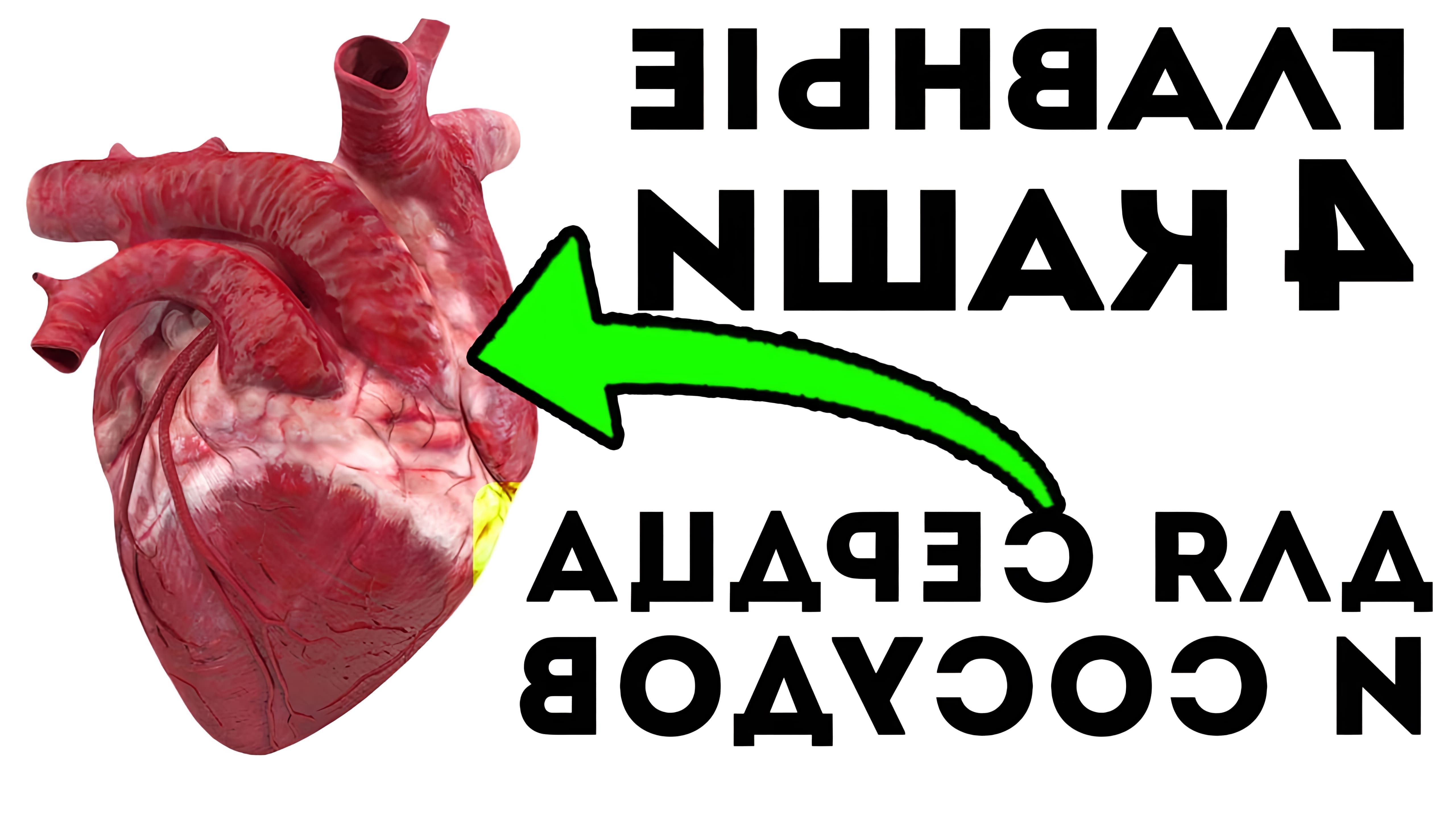 В этом видео рассказывается о том, как каши могут помочь улучшить состояние сердечно-сосудистой системы