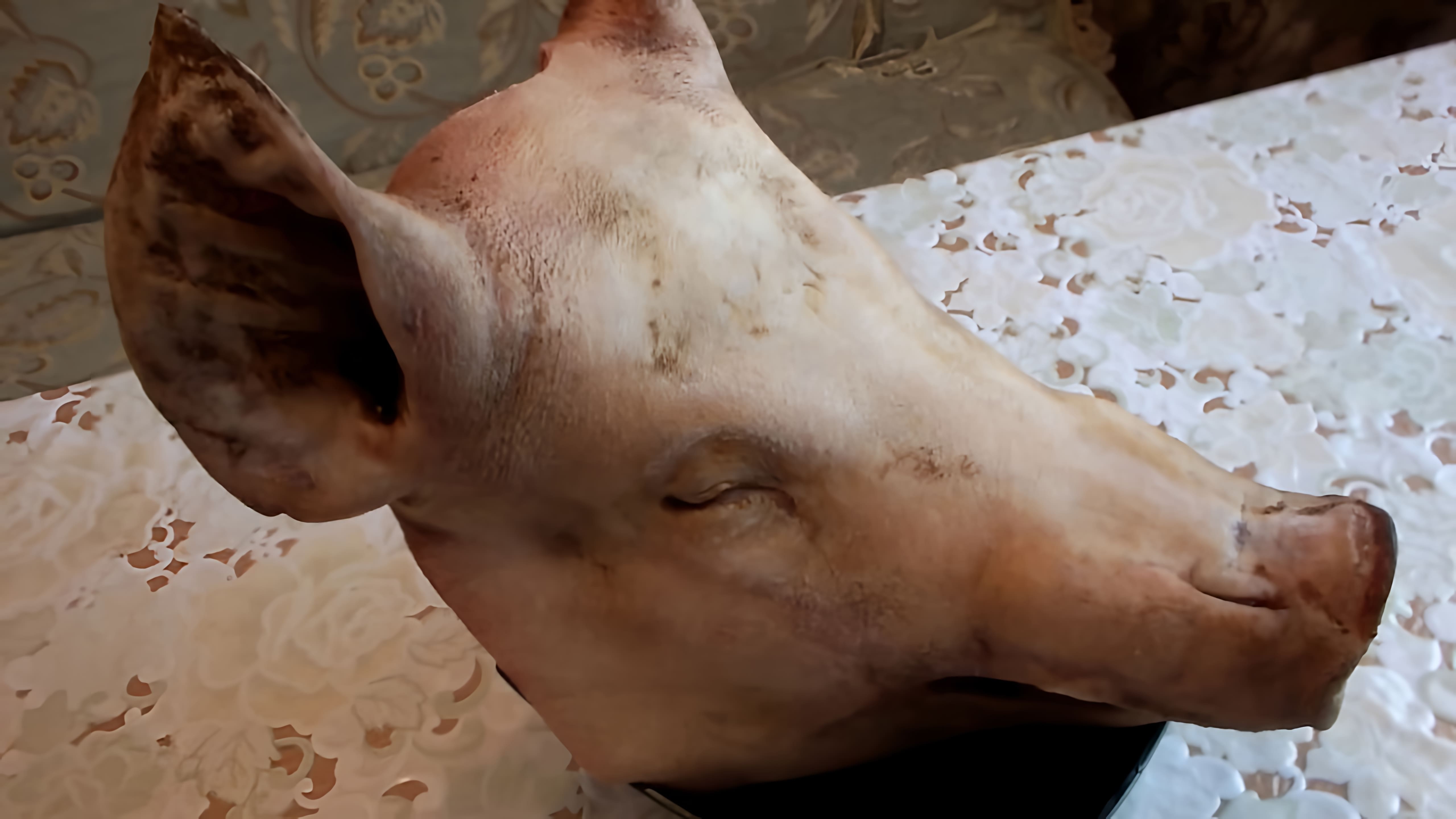 В этом видео демонстрируется процесс приготовления холодца из свиной головы