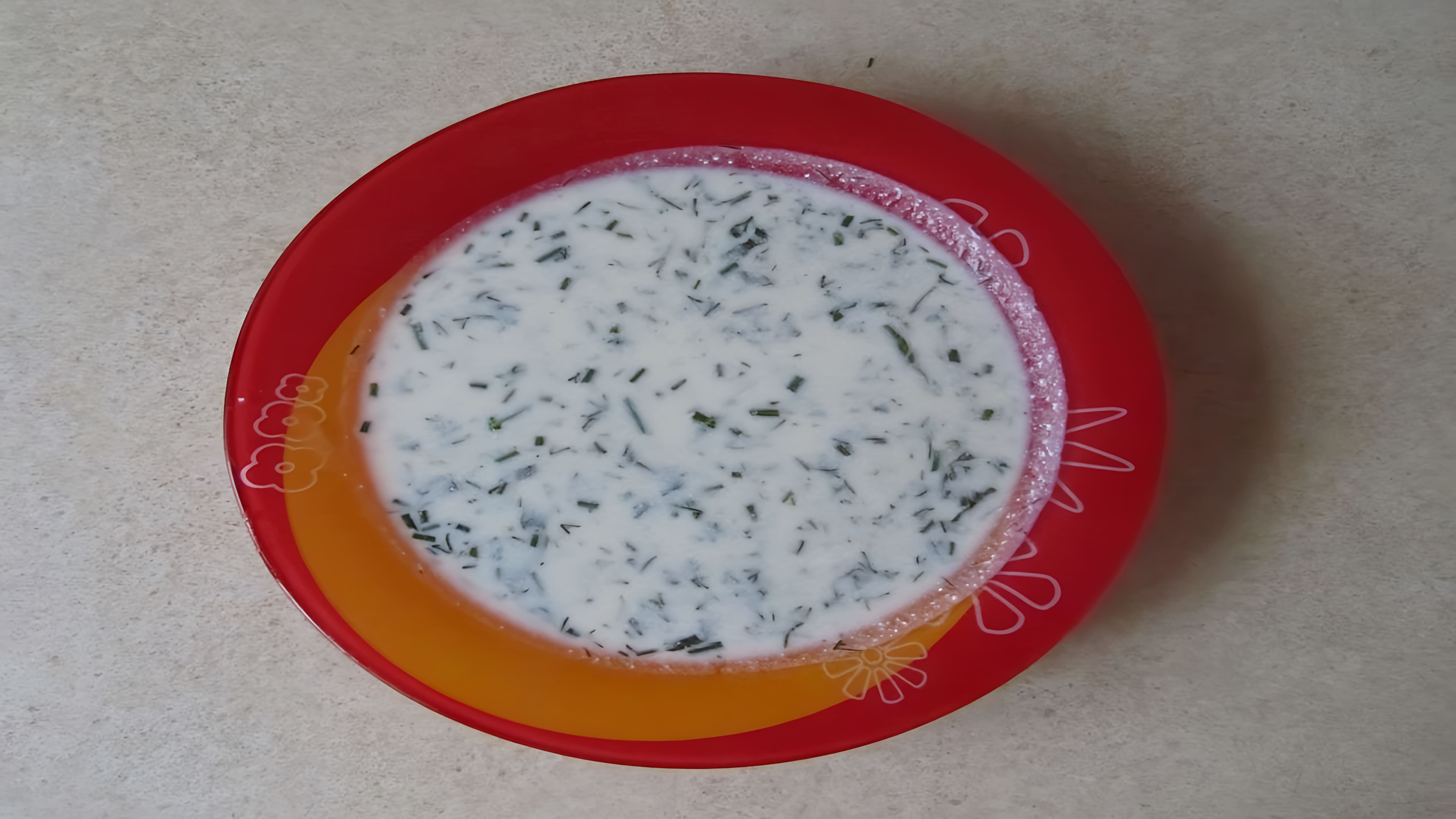 Супы рецепты. Довга рецепт. Танов - кефирный суп по армянски. Суп с рисом из заквашенного молока на сайте... 
