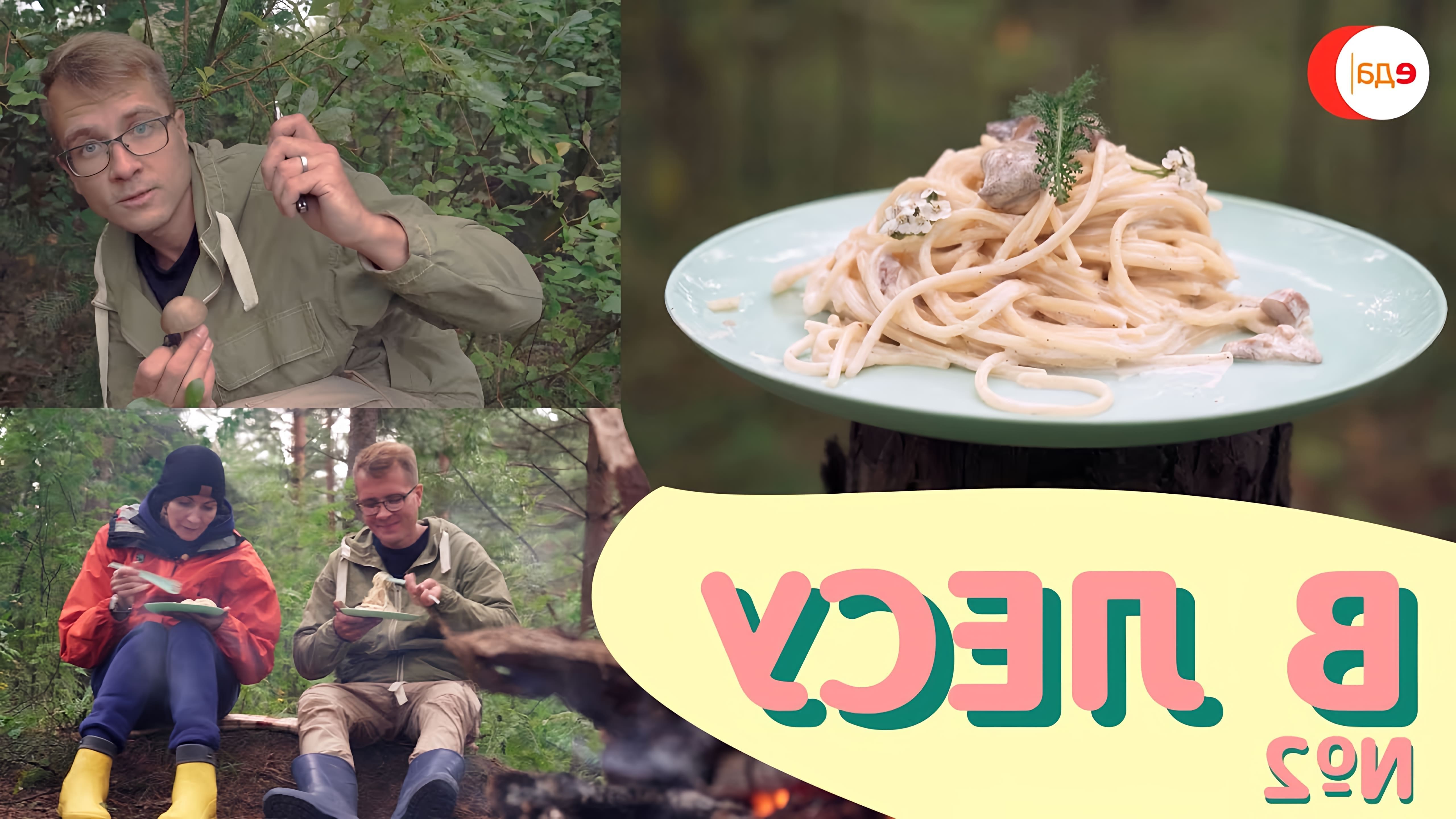 В этом видео рассказывается о том, как собирать и готовить грибы в лесу