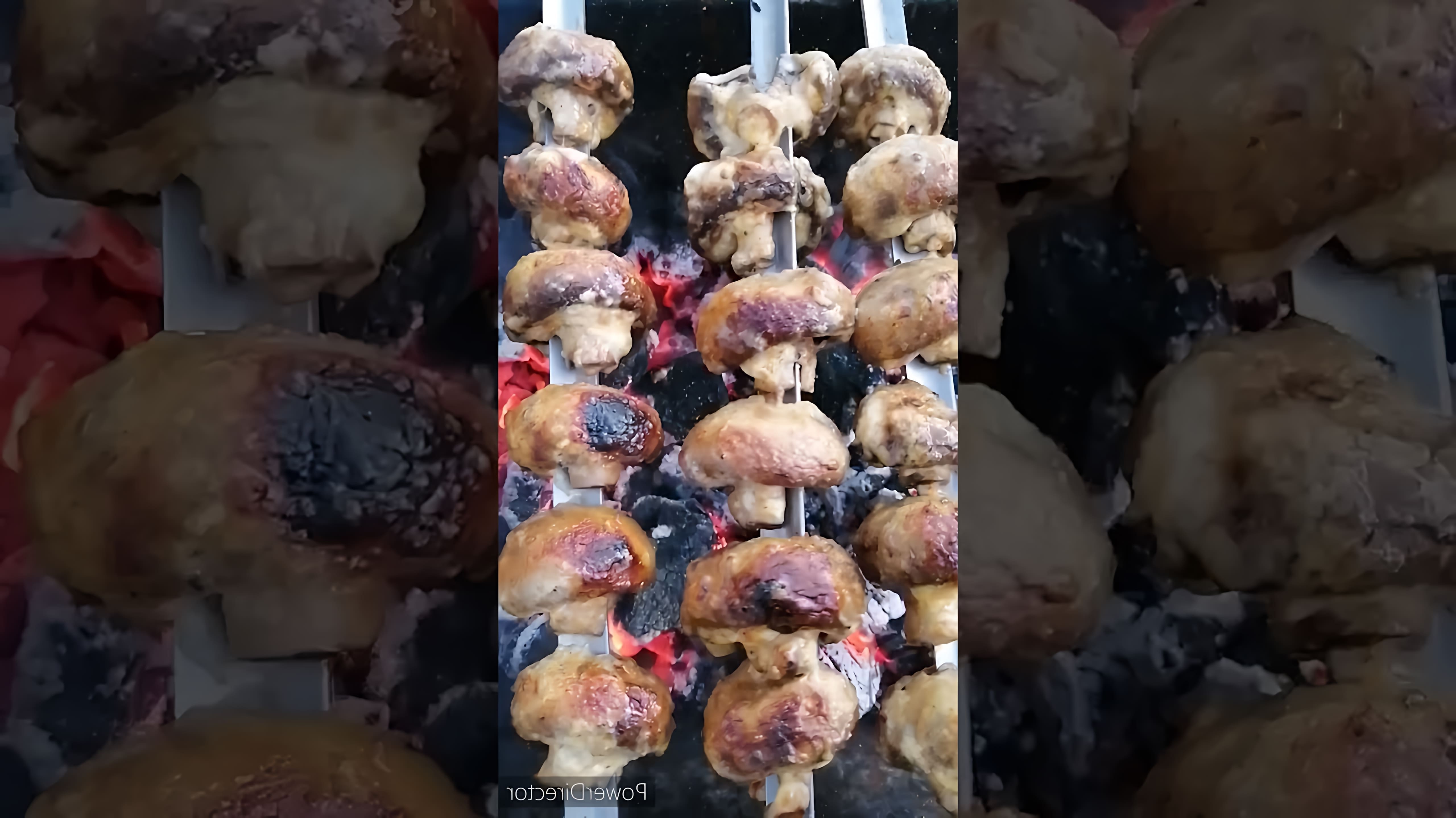 В этом видео демонстрируется процесс приготовления шашлыка из грибов на мангале