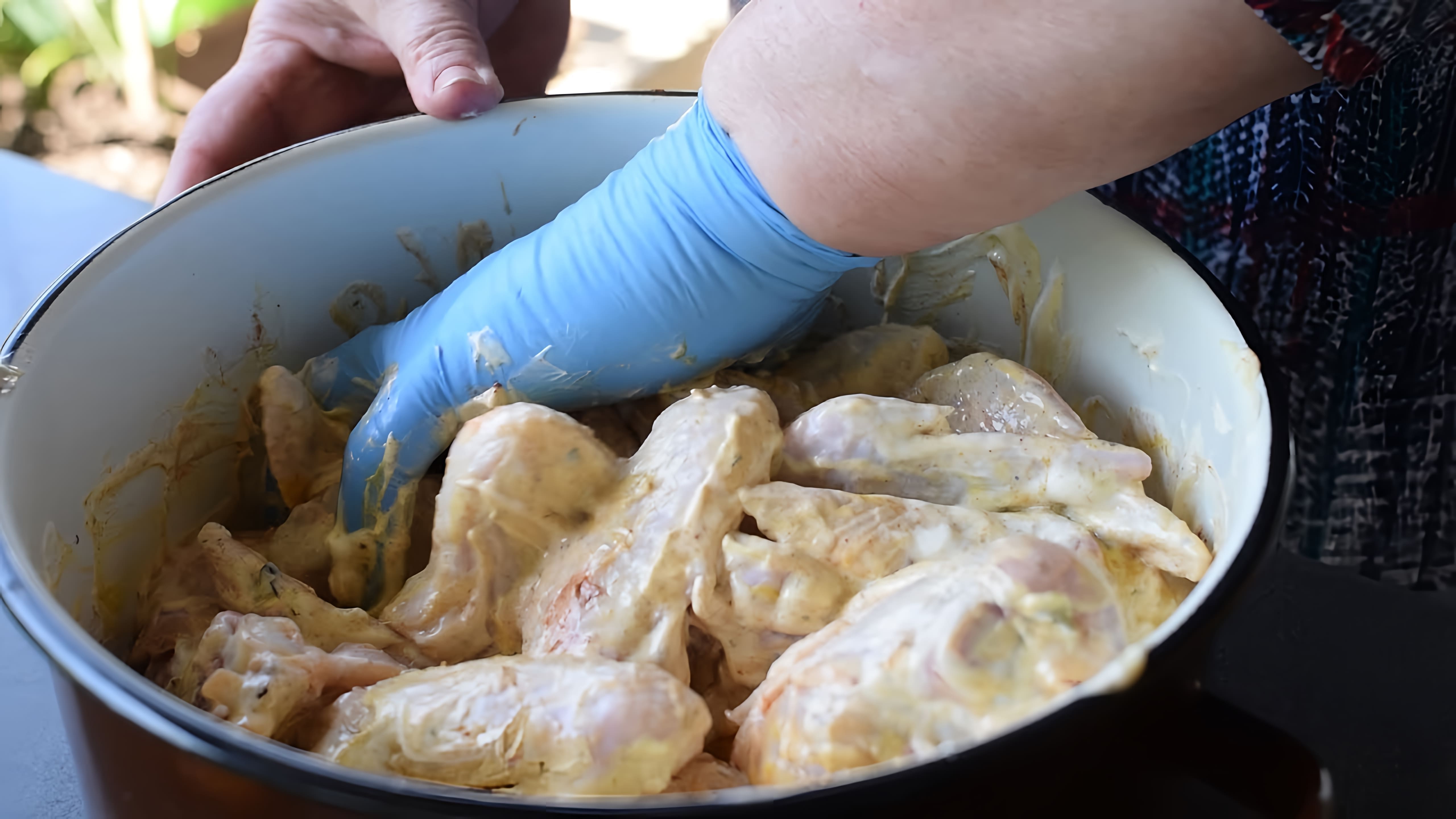 В этом видео демонстрируется процесс приготовления куриных крылышек на мангале