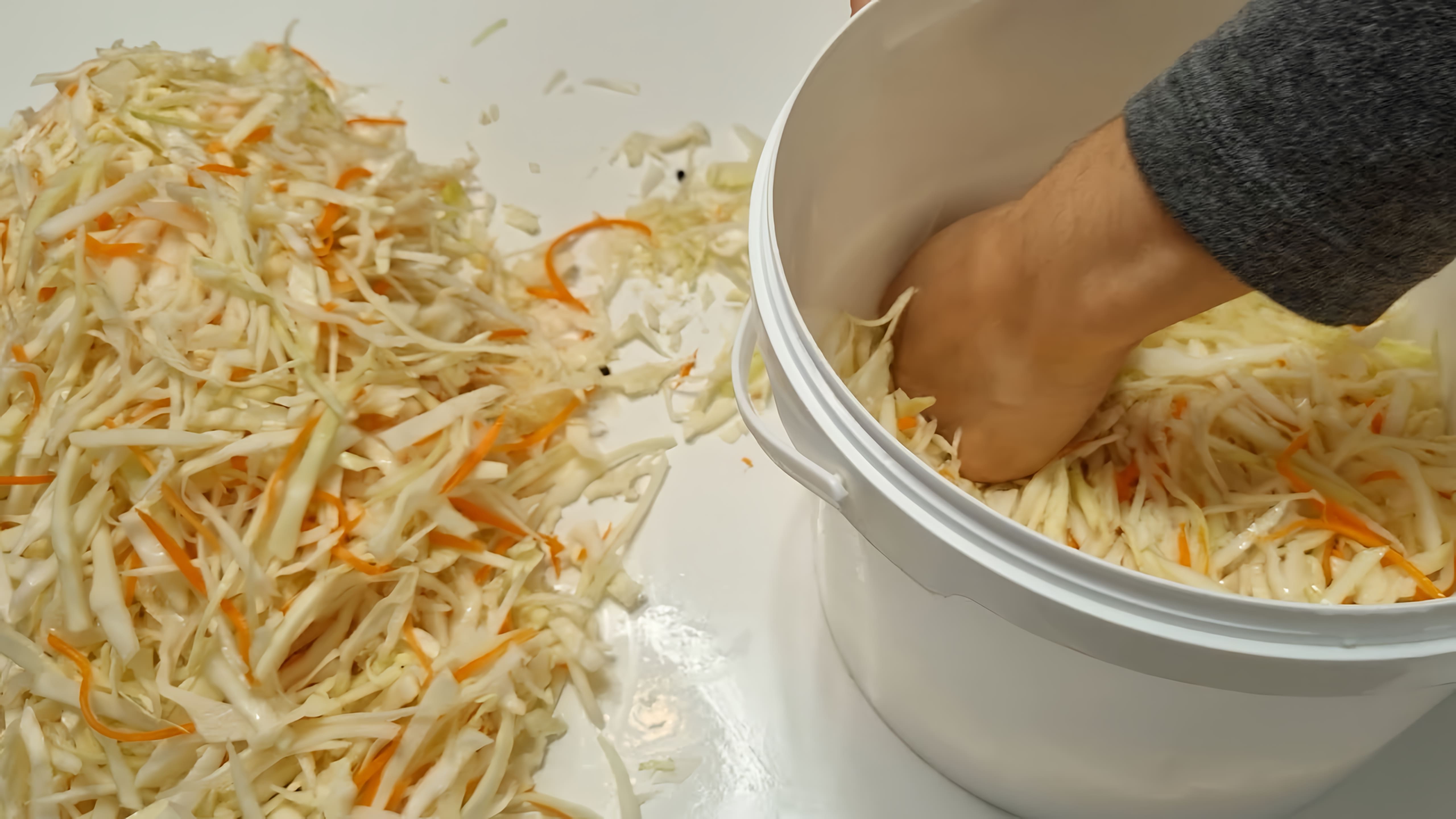 В этом видео-ролике будет представлен рецепт приготовления квашеной капусты, который позволит получить хрустящий и вкусный результат