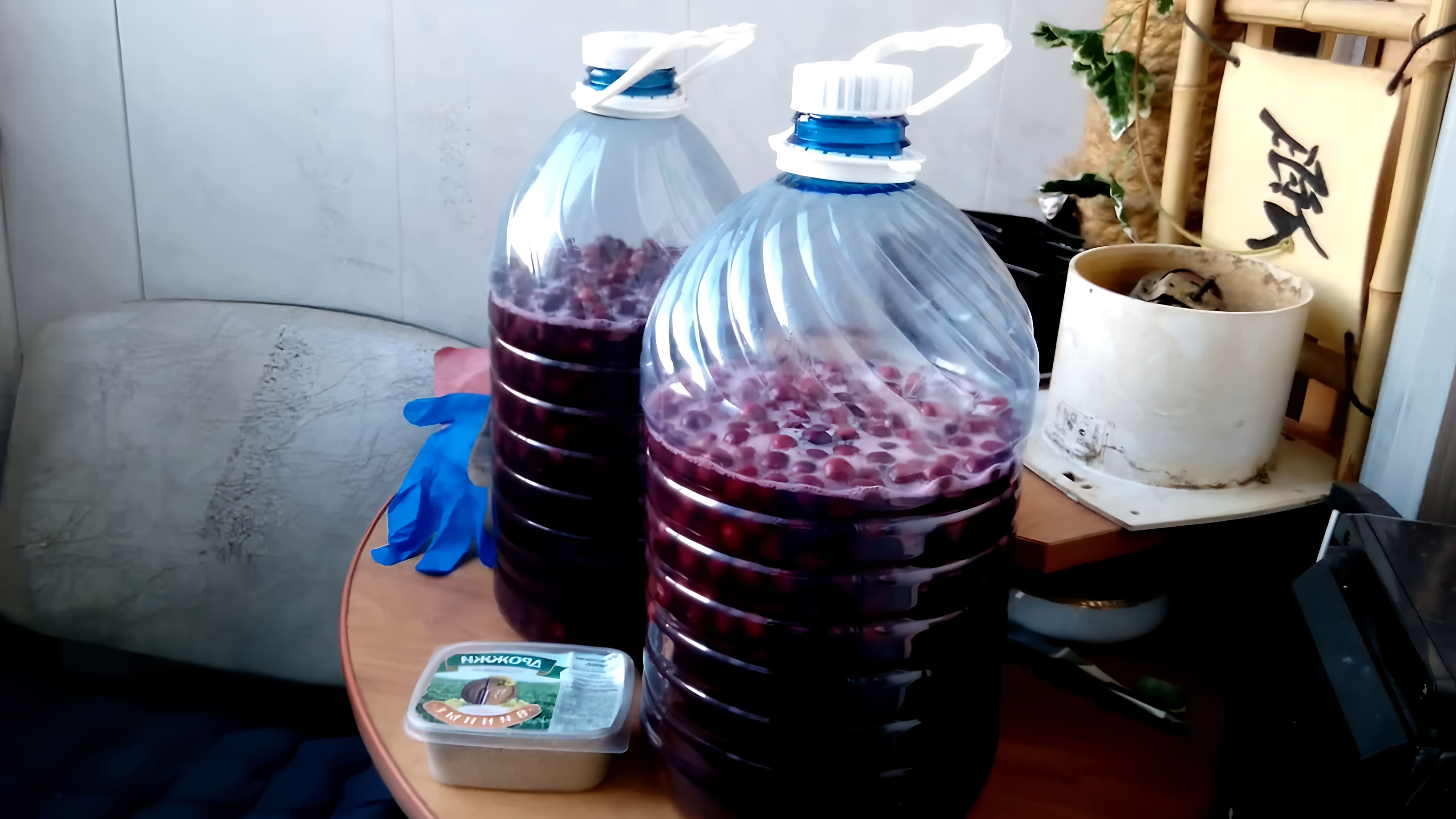 В этом видео рассказывается о процессе приготовления вишневого вина в домашних условиях
