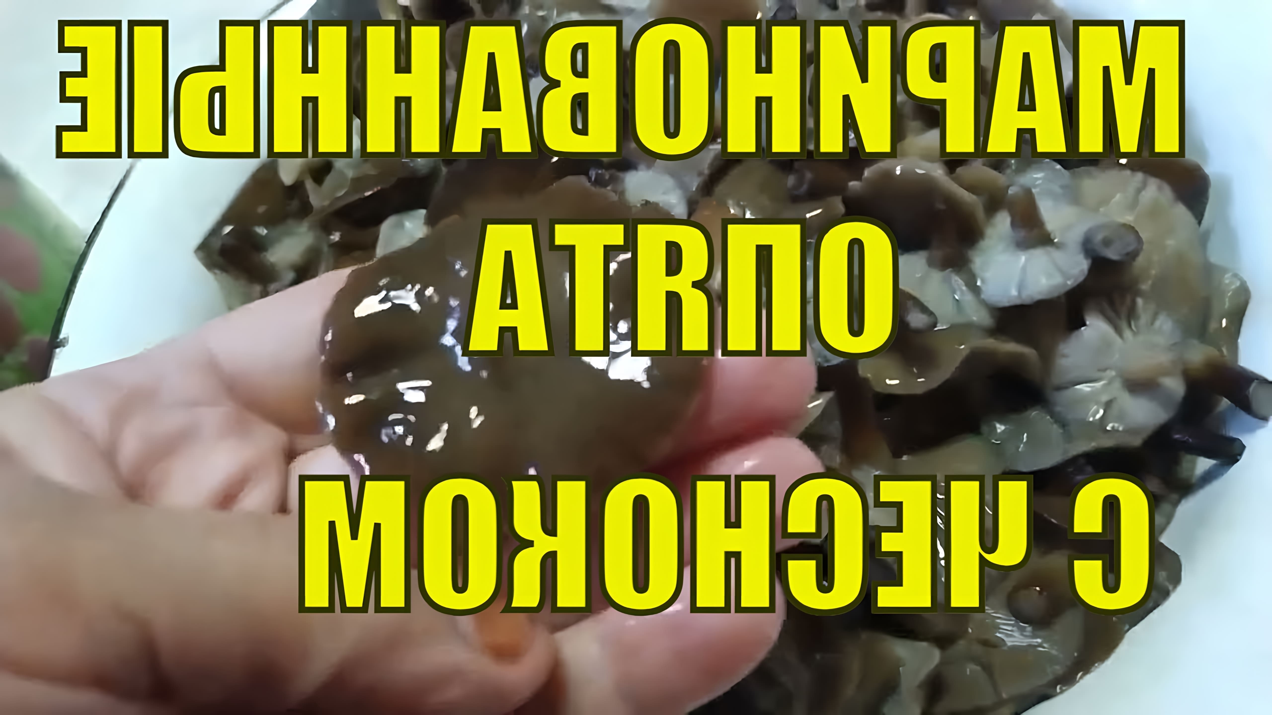 В этом видео демонстрируется процесс приготовления маринованных опят с чесноком