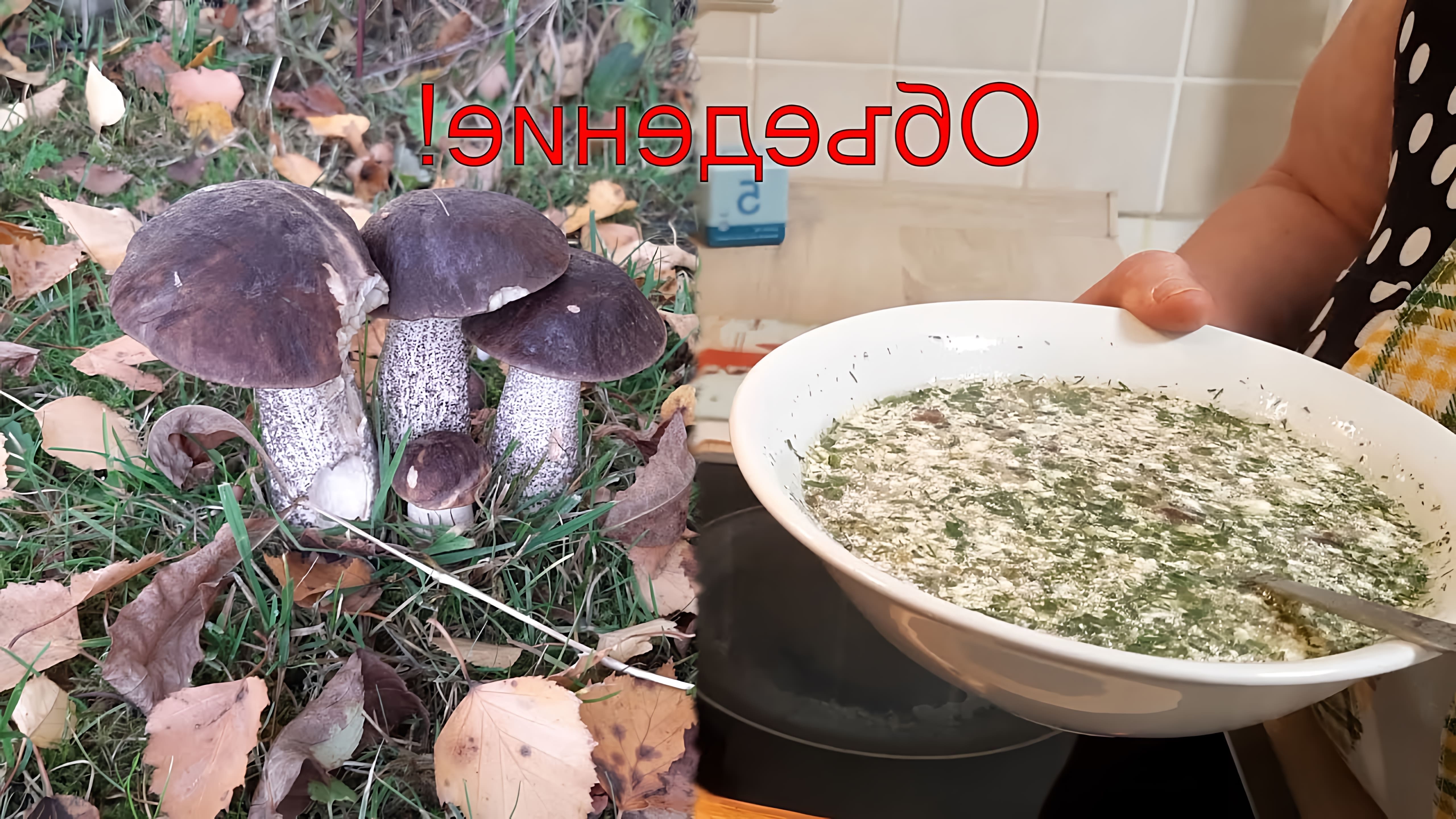 В этом видео демонстрируется процесс приготовления фирменного грибного супа из подберезовиков