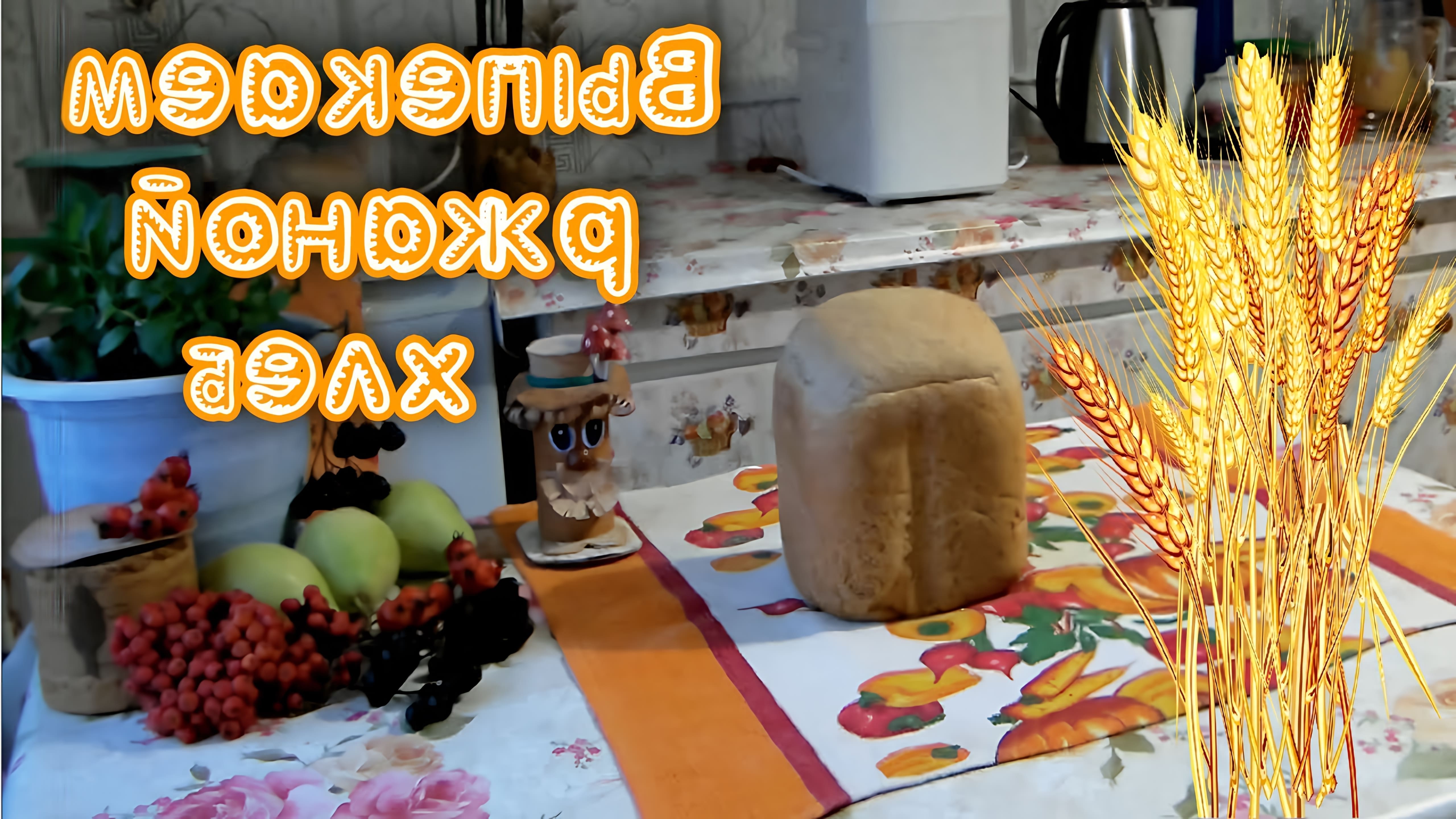 В этом видео Николай Лесков показывает, как приготовить ржаной хлеб в хлебопечке