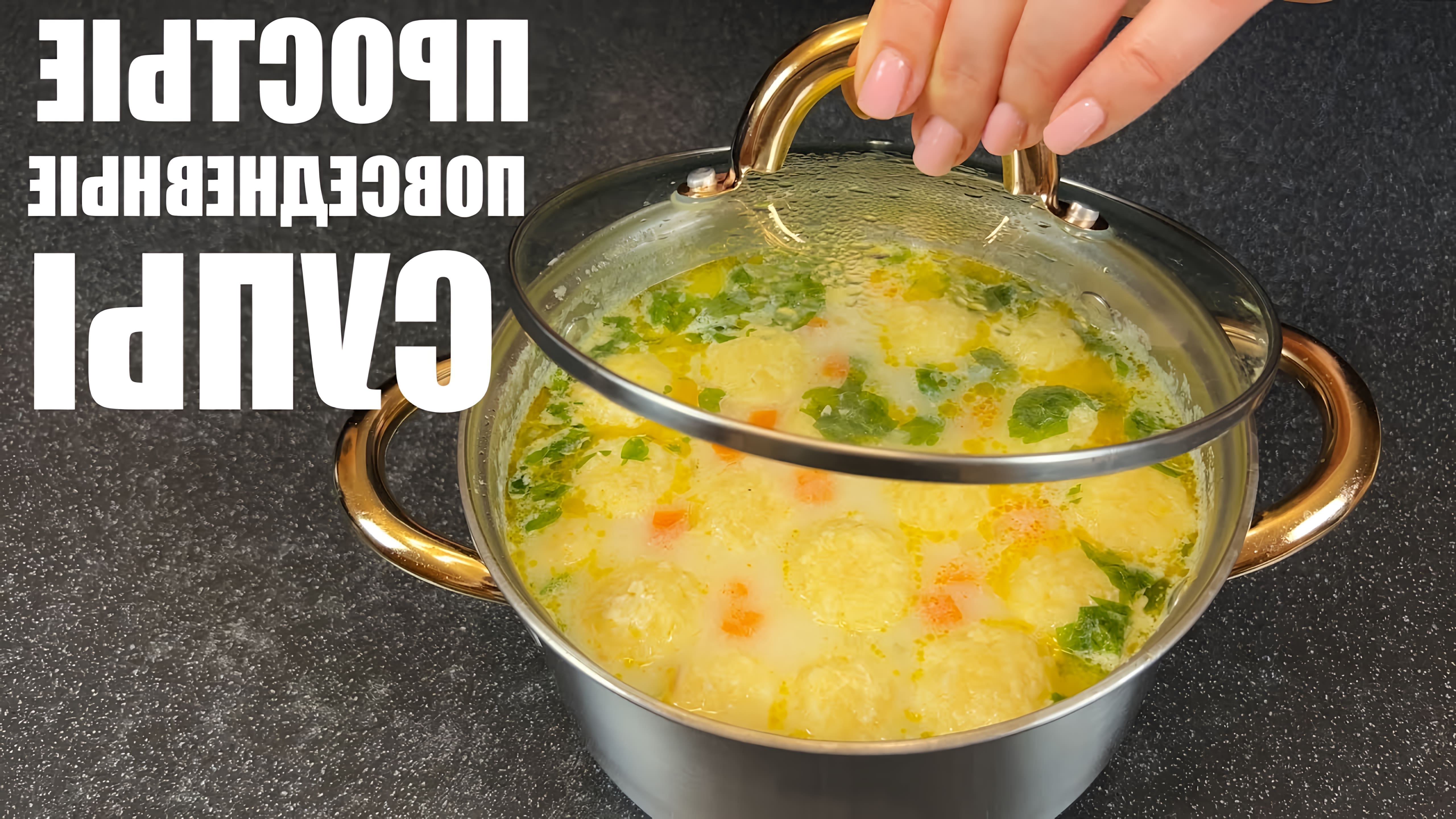 Видео представляет рецепты 6 простых супов, которые можно готовить ежедневно - томатный суп с колбасой, овощной суп, грибной суп, сырный суп, мясной суп и рыбный суп