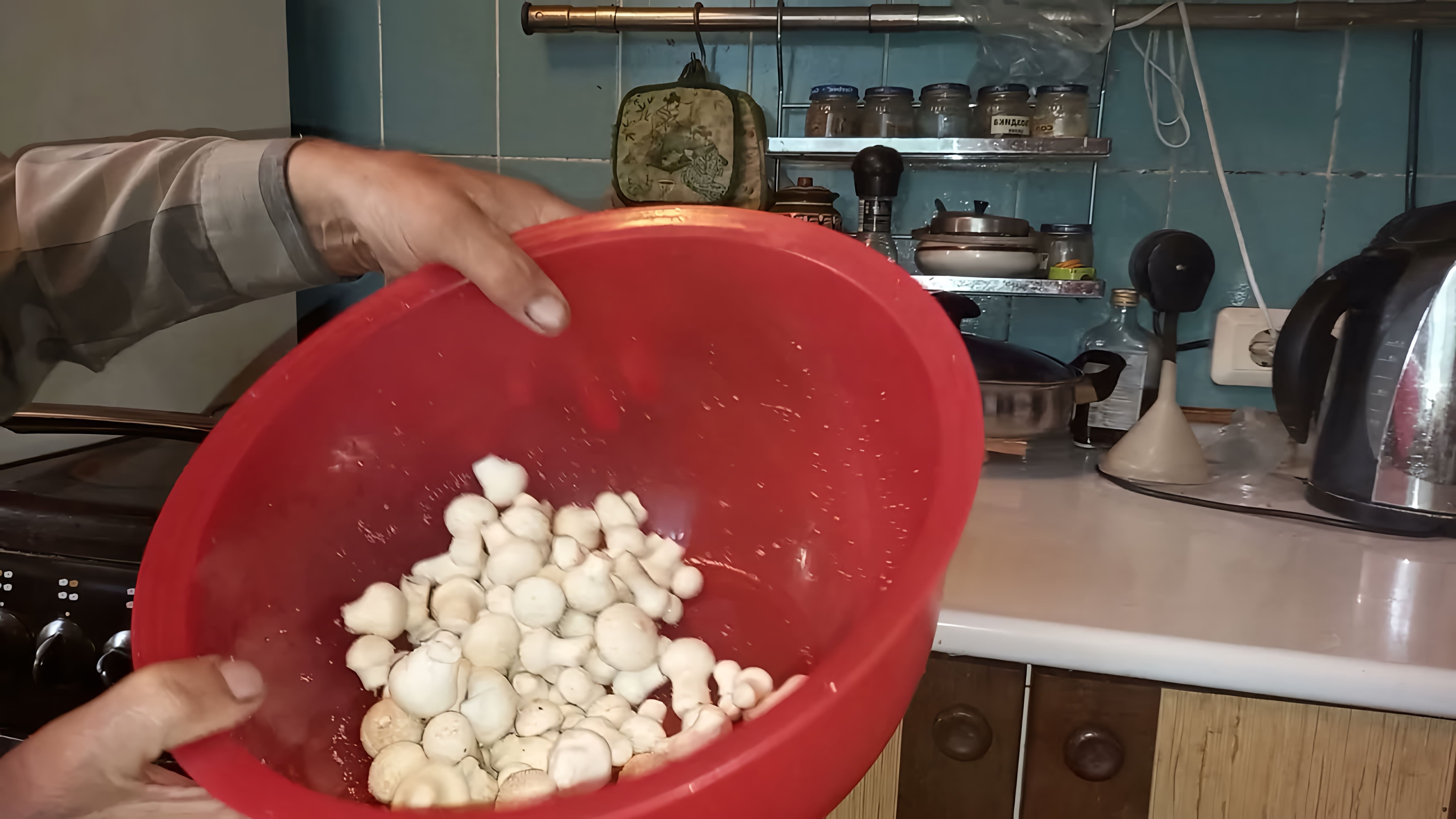 В этом видео рассказывается о том, как приготовить грибы дождевики