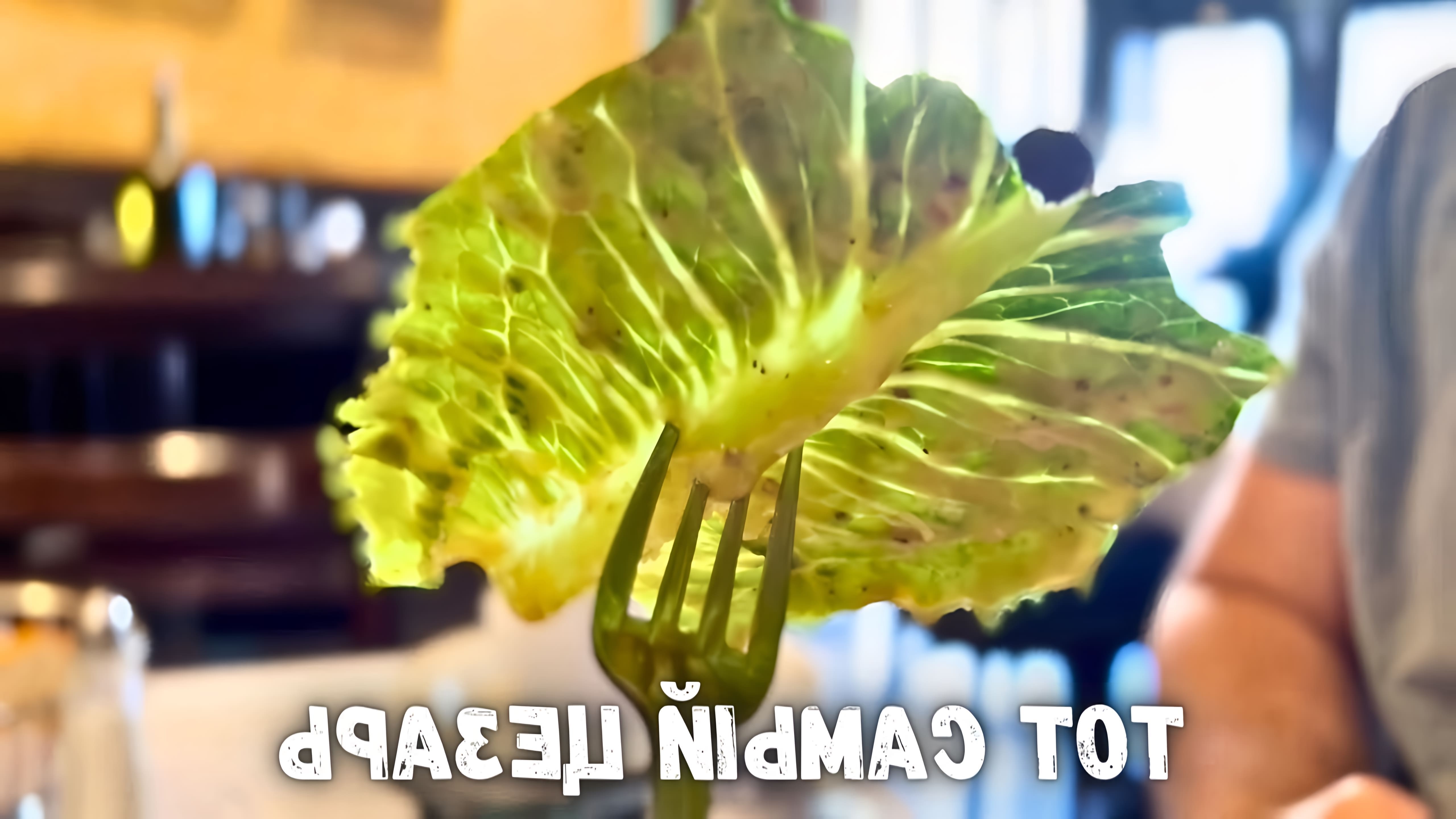 В этом видео мы отправились в ресторан Seasons в Тихуане, Мексика, где был изобретен салат Цезарь
