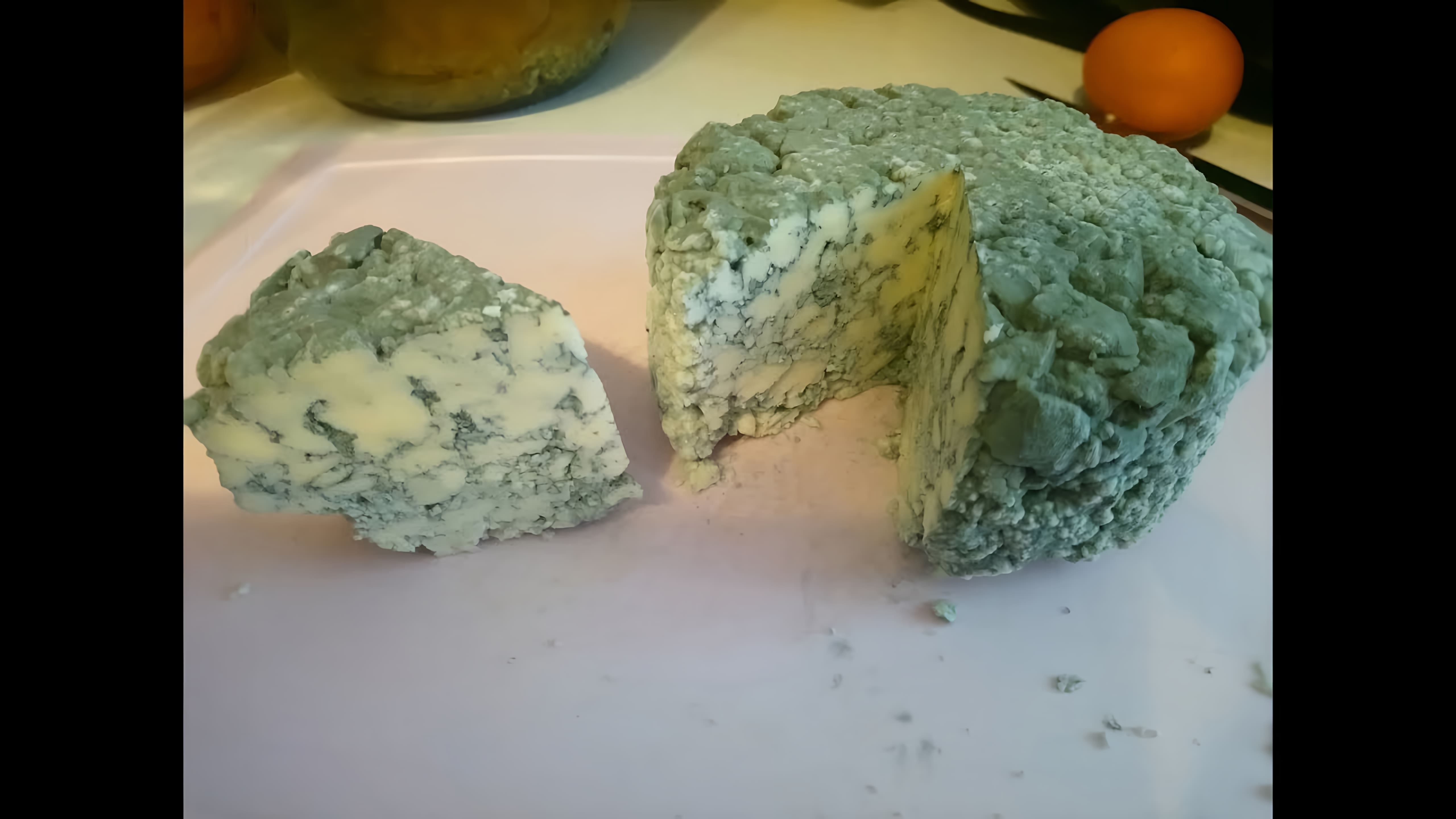 В данном видео демонстрируется процесс приготовления сыра с голубой плесенью в домашних условиях