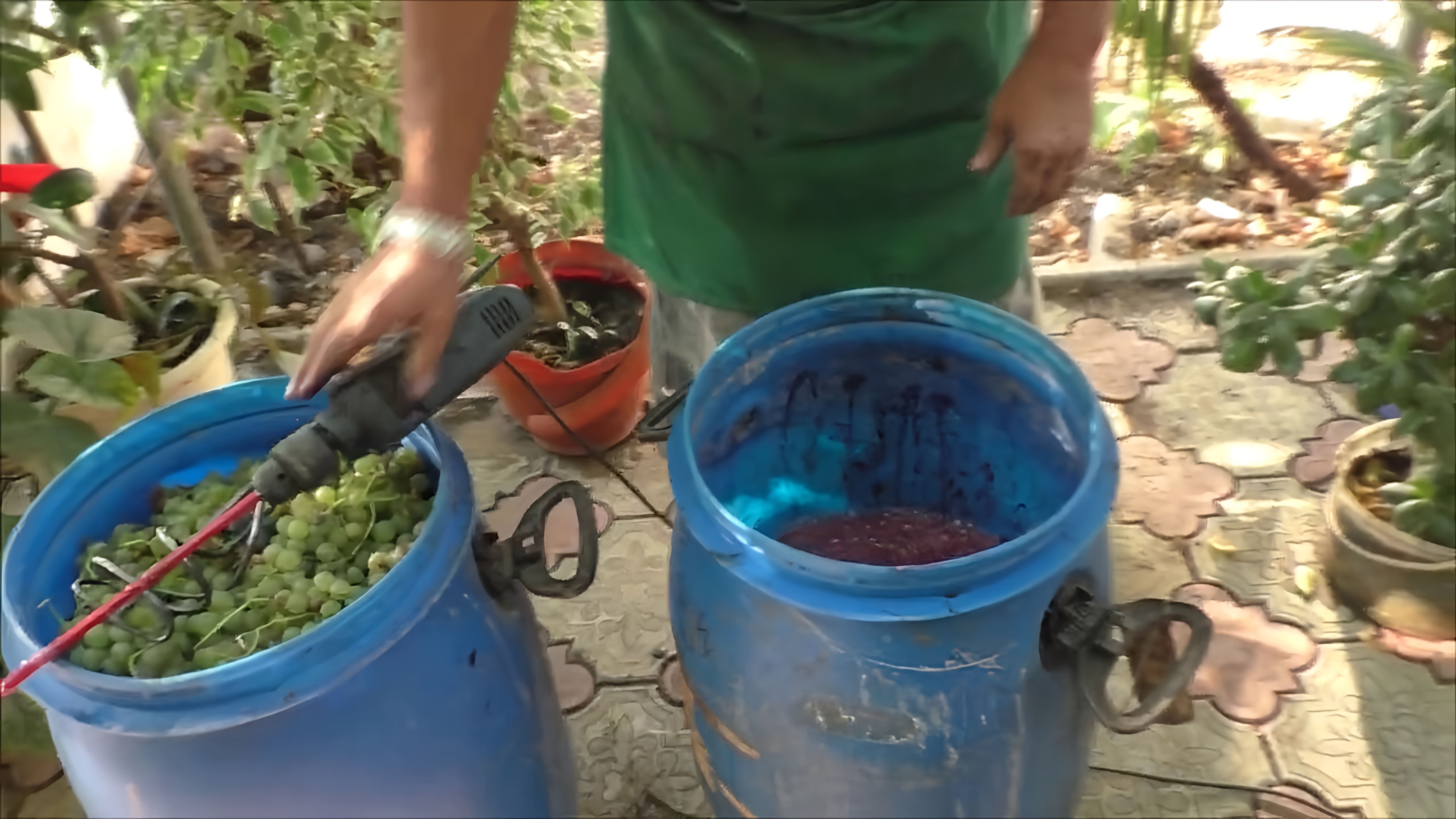 В этом видео рассказывается о процессе изготовления вина из винограда