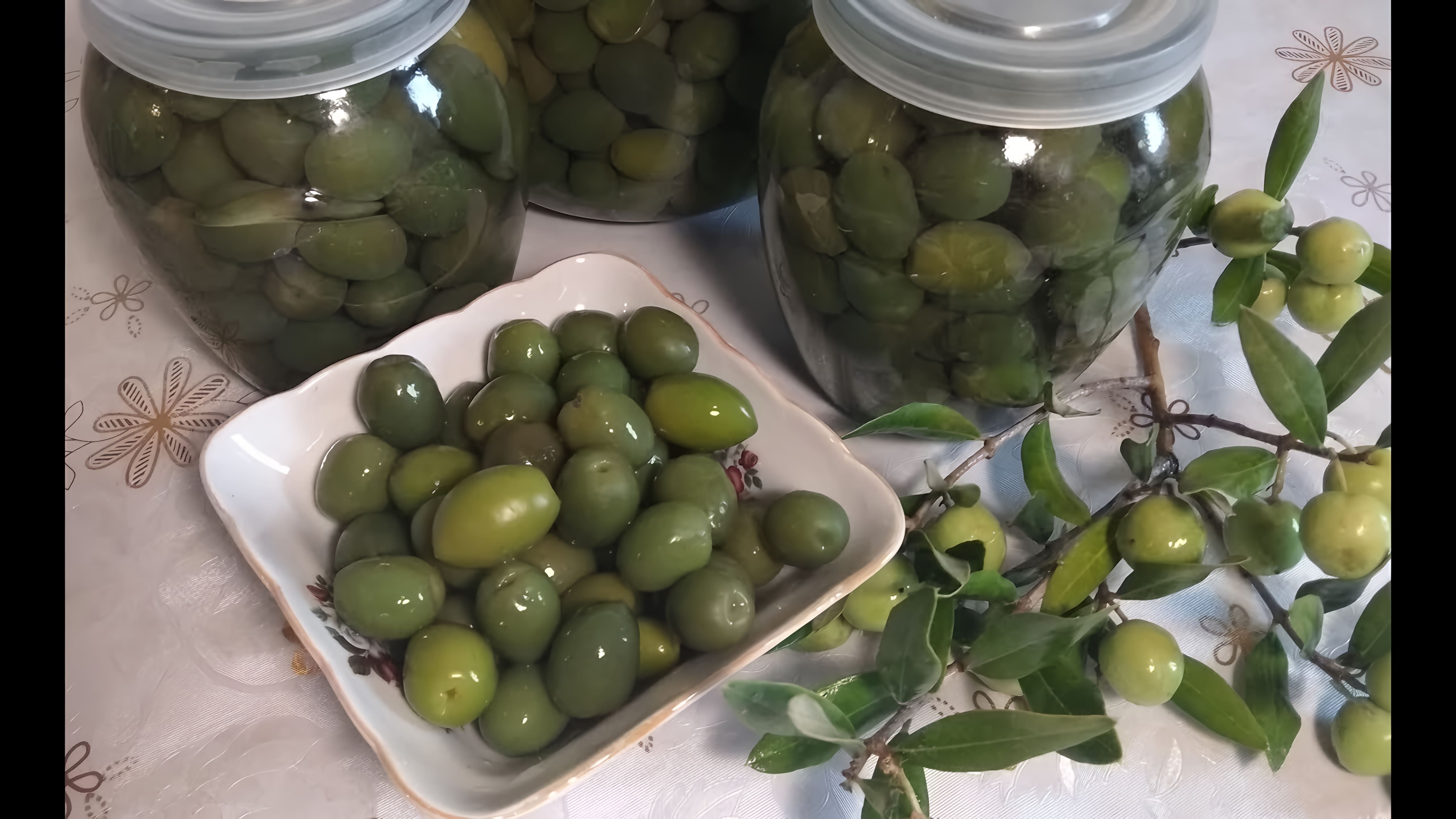 В этом видео-ролике вы увидите, как приготовить соленые оливки