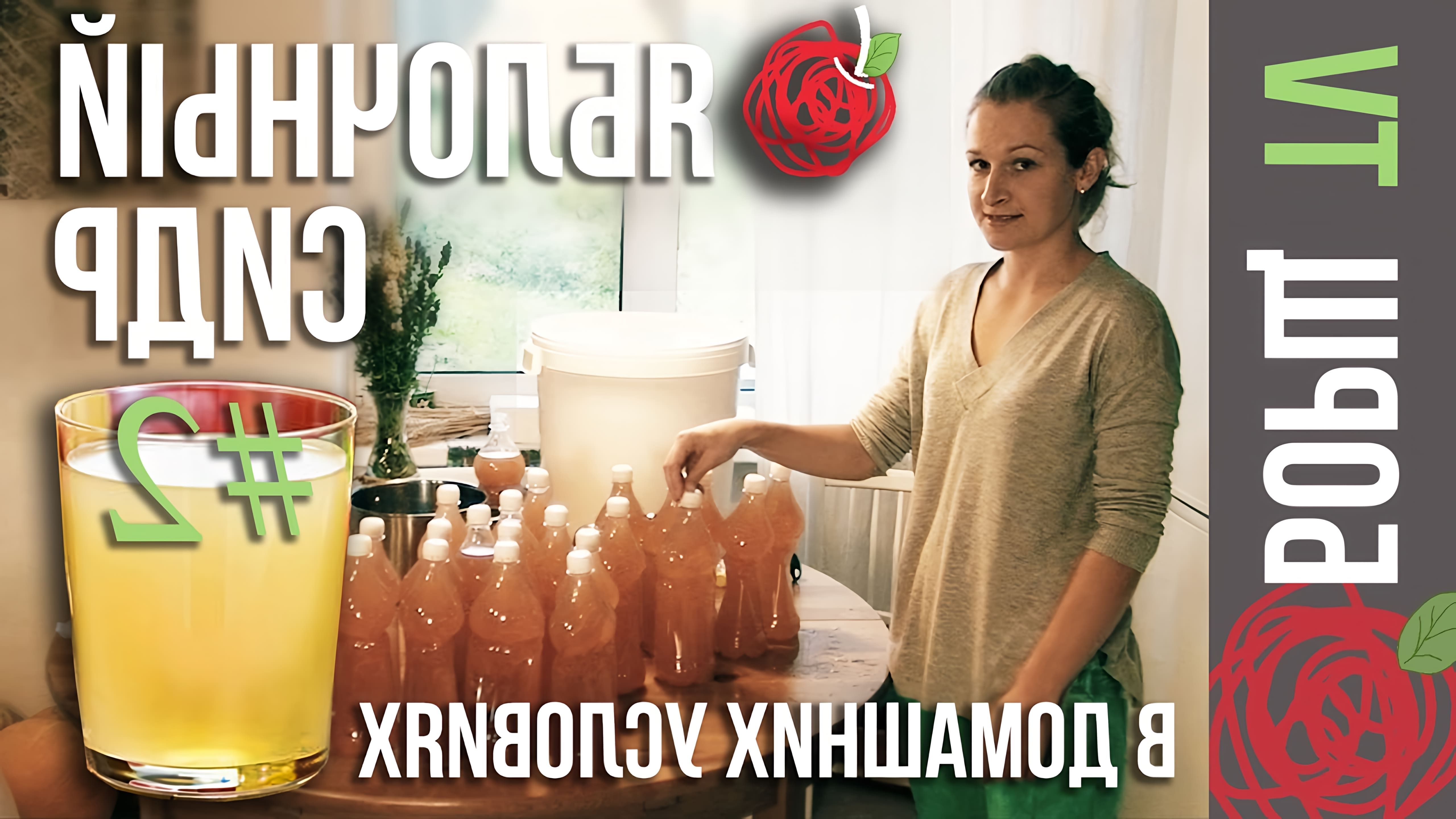 В данном видео демонстрируется процесс приготовления яблочного сидра из сока в домашних условиях