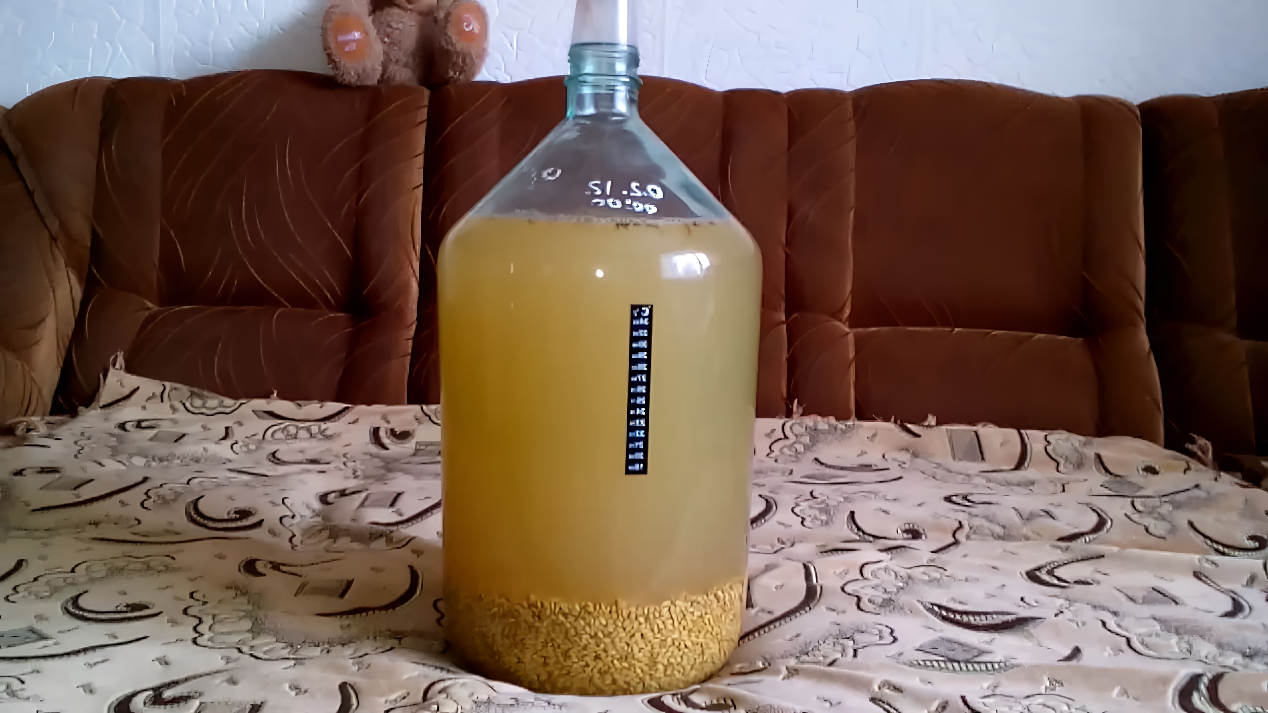 В данном видео демонстрируется процесс приготовления самогона "Ячменный" без использования дрожжей