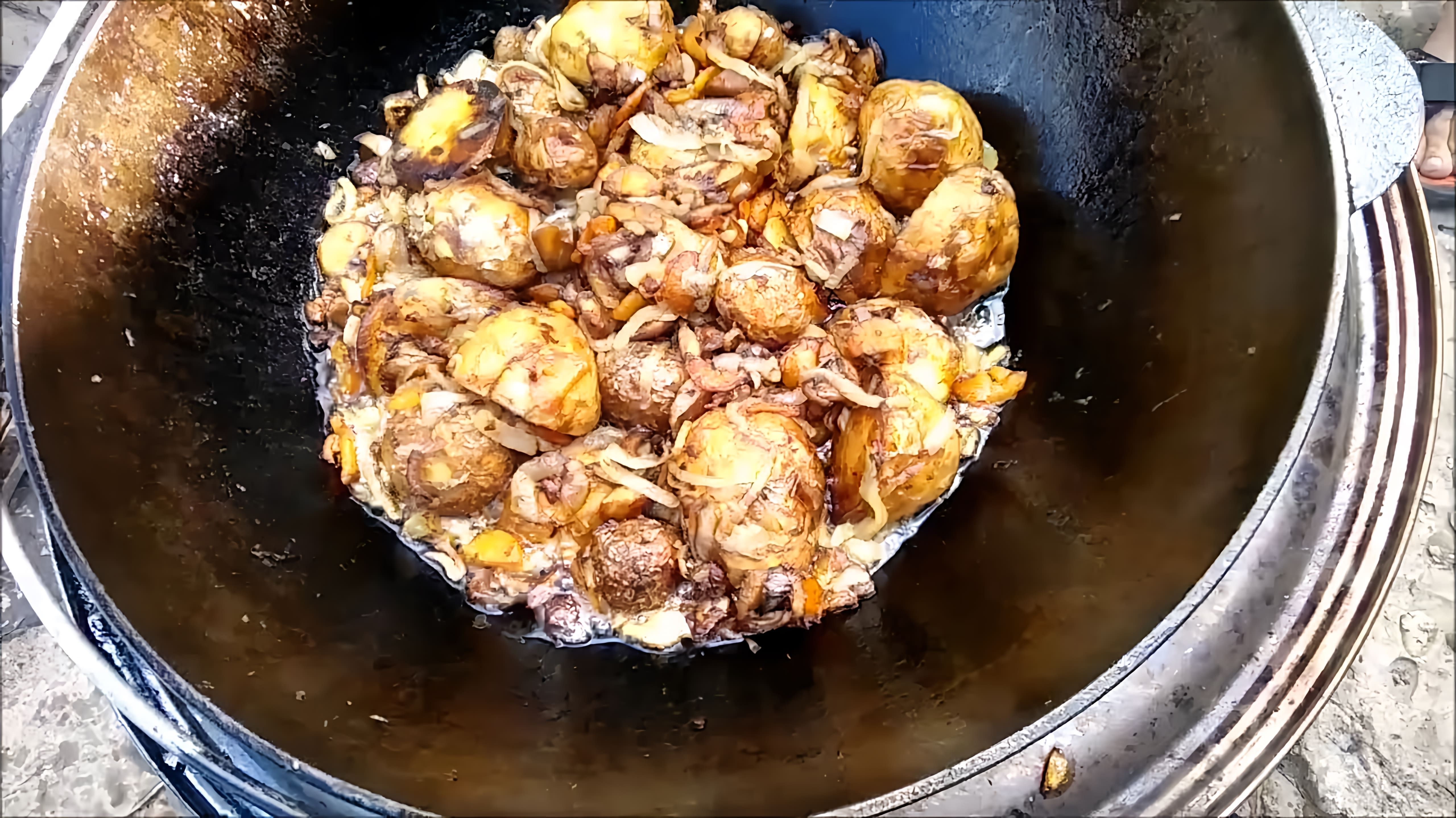 В этом видео-ролике показан процесс приготовления вкусного блюда - картошки с маслятами в казане